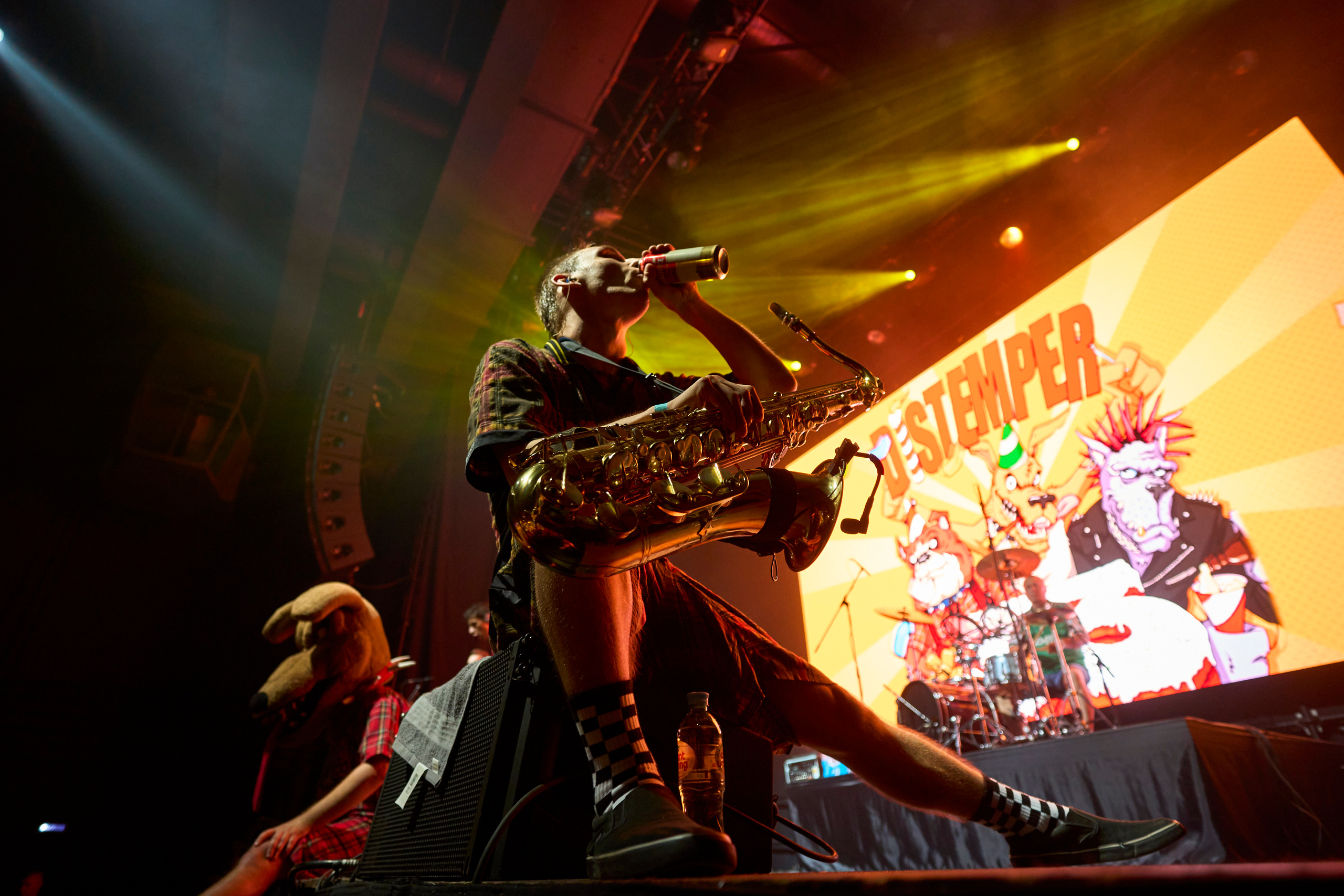 DISTEMPER 33 / 1930 / 24.09.2022. Ekhovanov | фото- видеосъемка