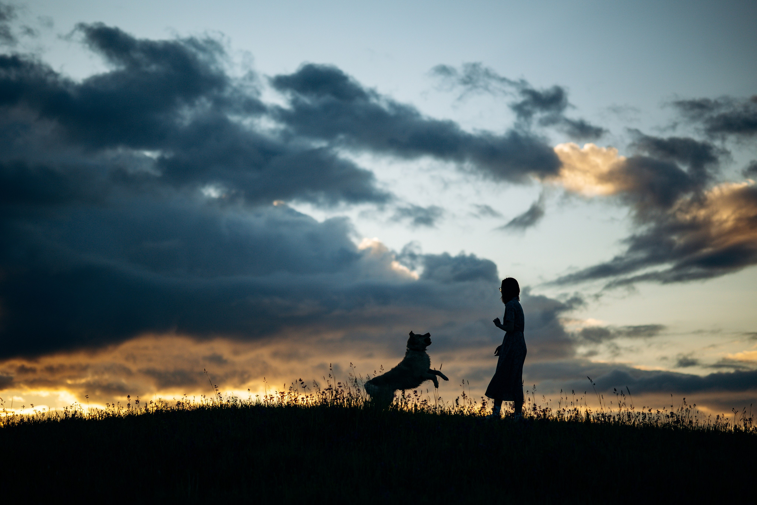Юля и Руби. Фотограф — Анималист | Санкт-Петербург