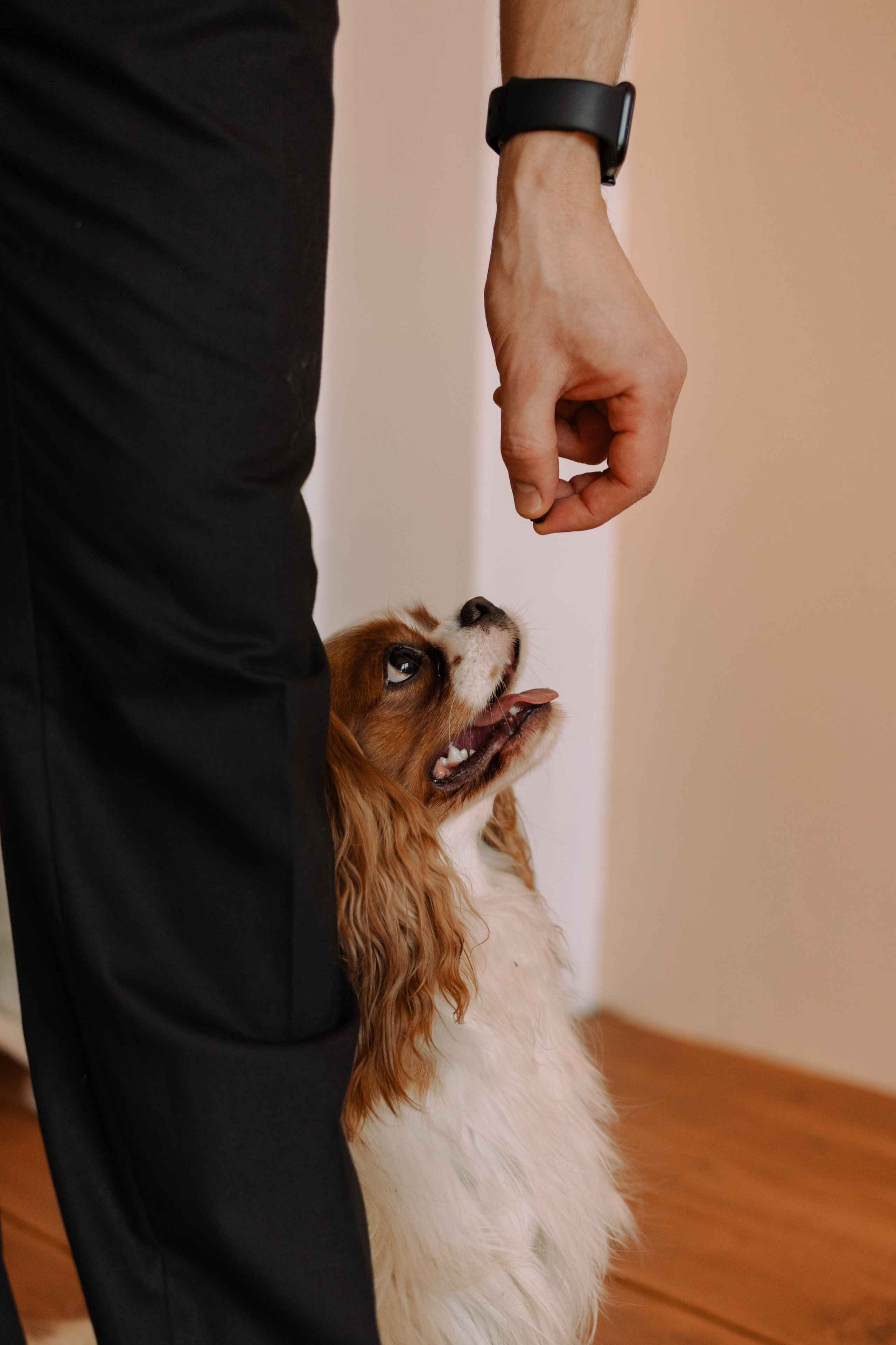 Шерри и ее семья. Фотограф — Анималист | Санкт-Петербург