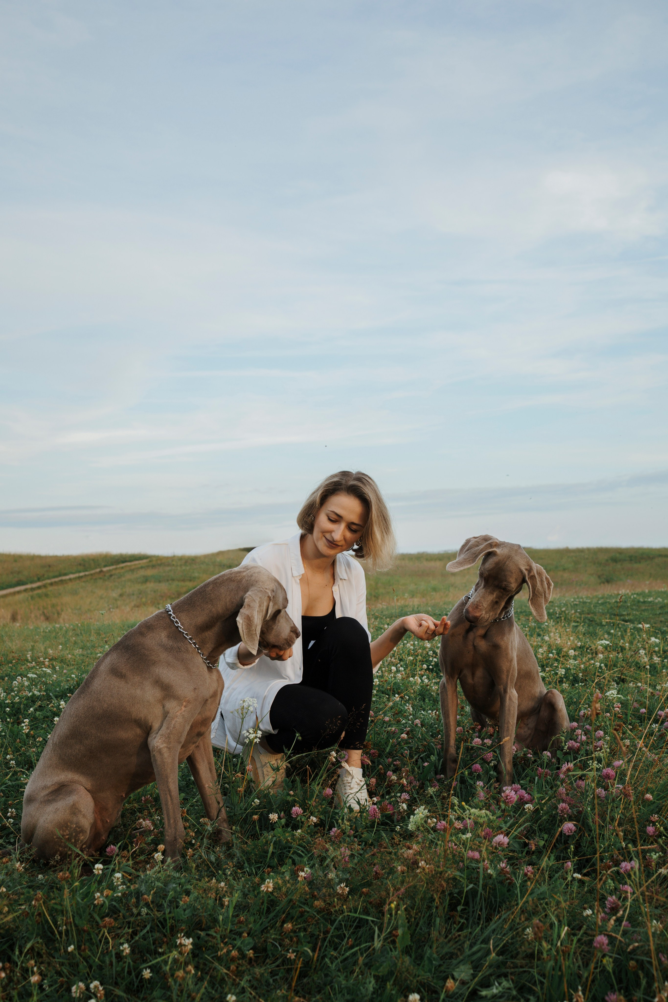 Маргарита и веймаранеры. Фотограф-анималист в Санкт-Петеребурге Титова Алиса