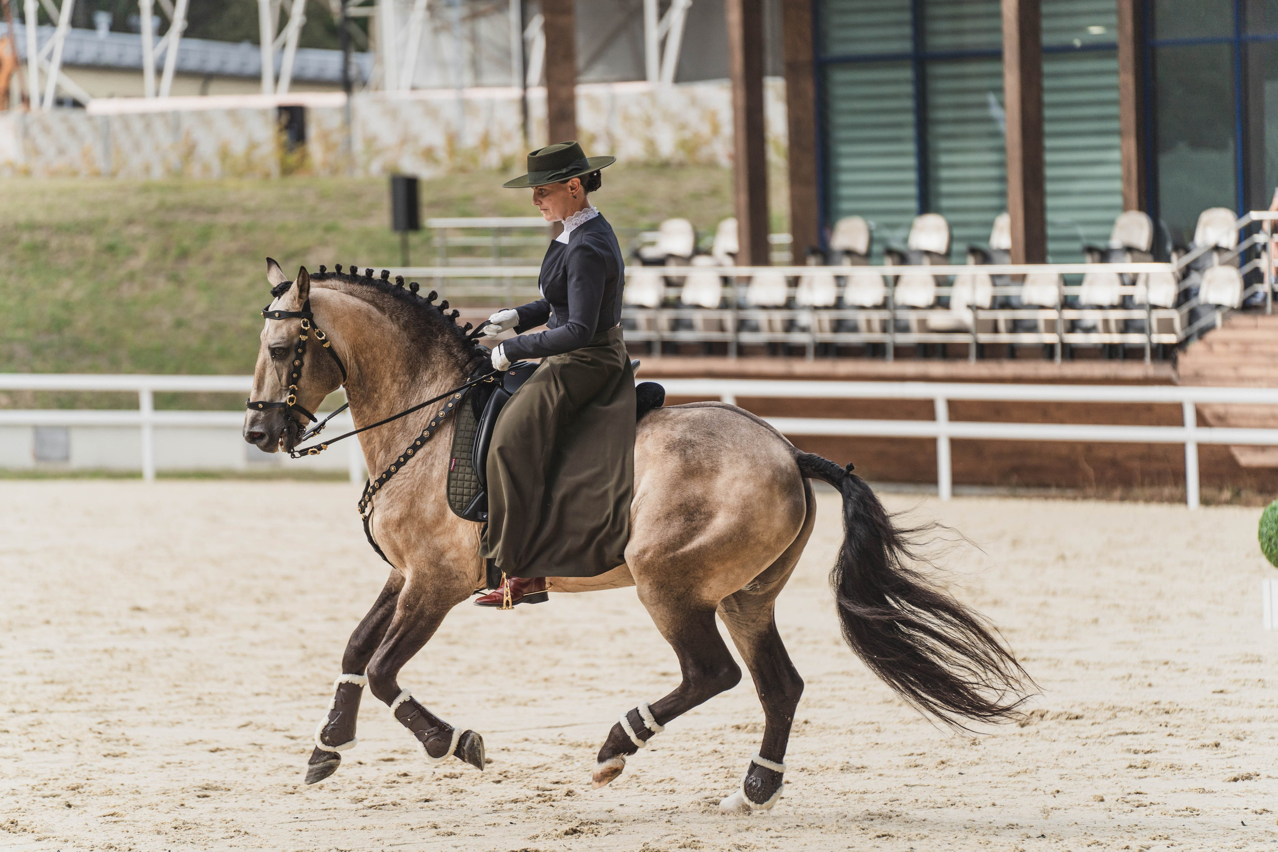 Мастер-класс по рабочей выездке. Фотограф в Москве Ленарская Дарья