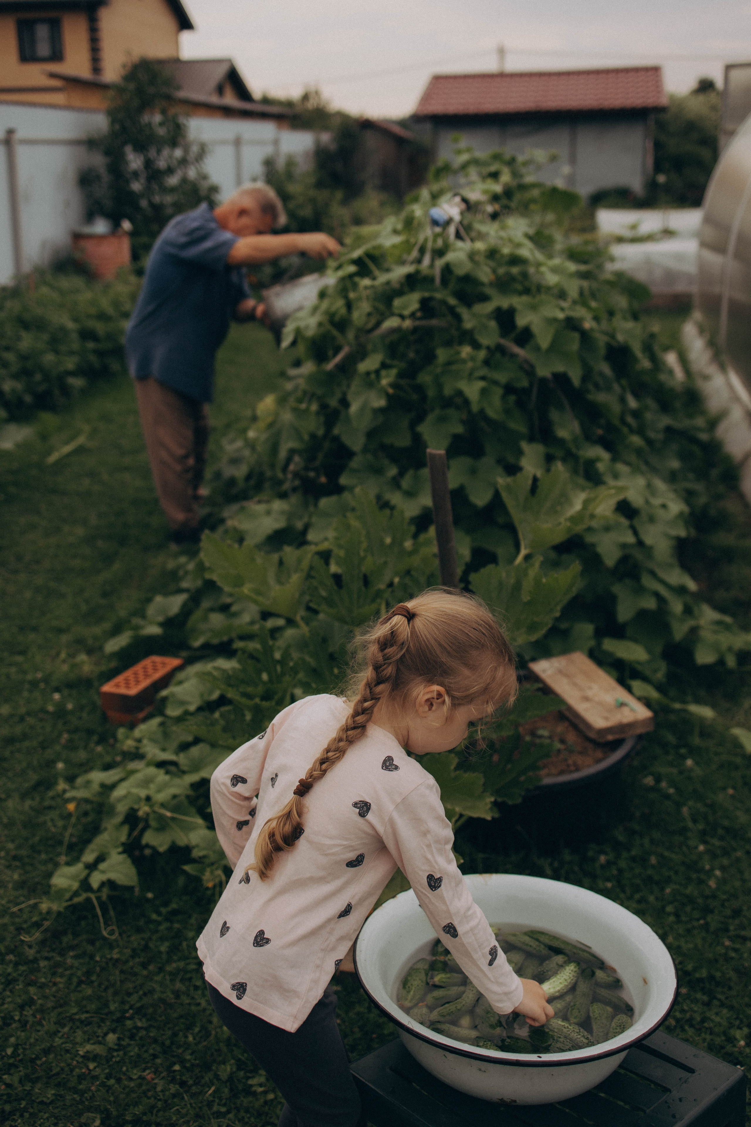 Одним летним днем. Фотограф lifestylе в Москве Пшеничная Анастасия