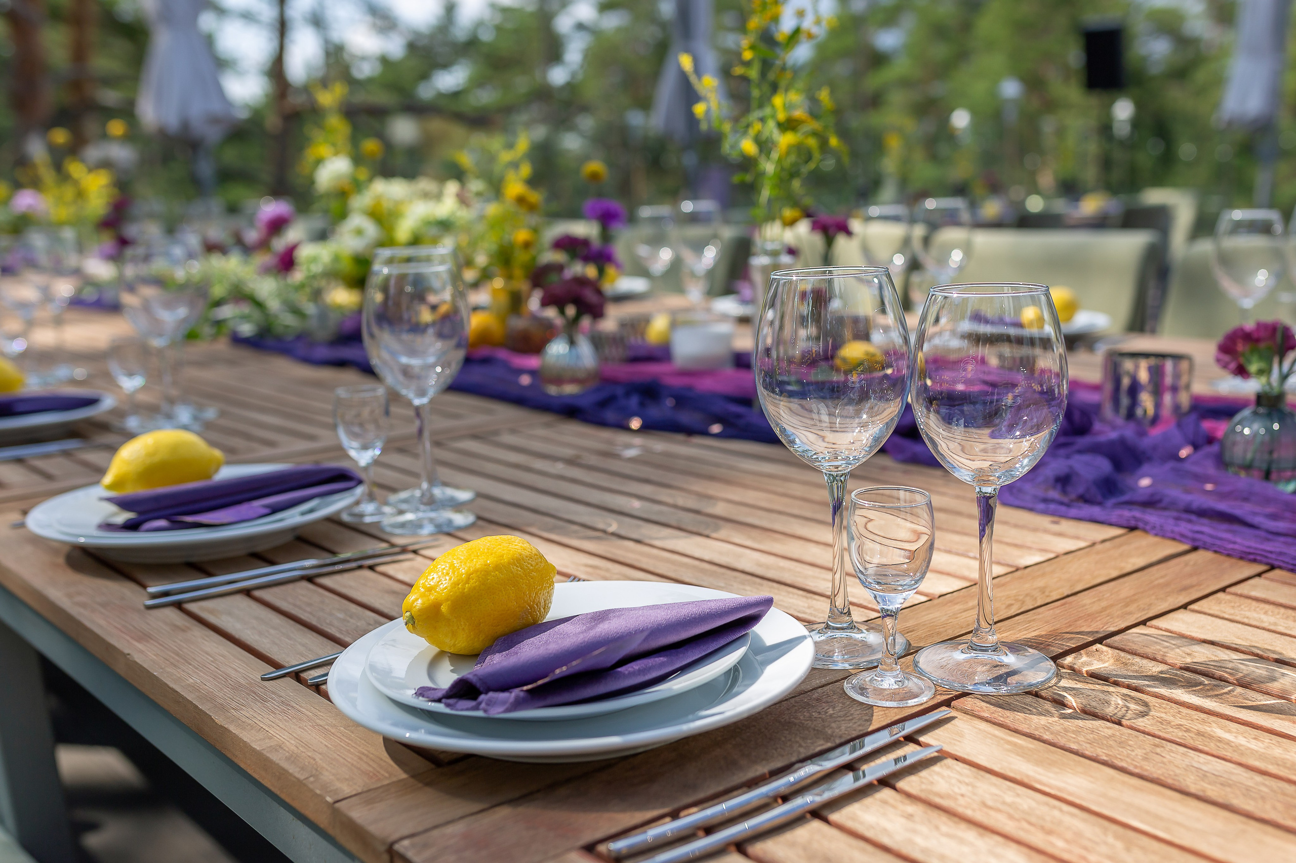 Дом у Моря, Терраса. Свадебный и Репортажный фотограф в Санкт-Петербурге