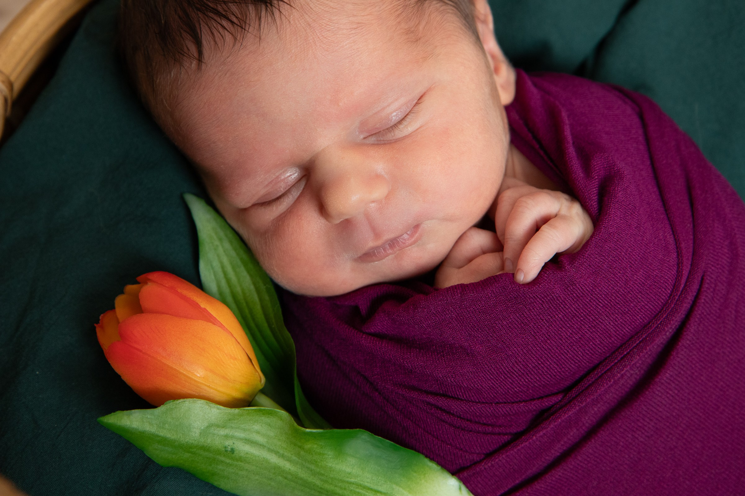 Ньюборн. Семейный и школьный фотограф в Тюмени Елена Бузиновская