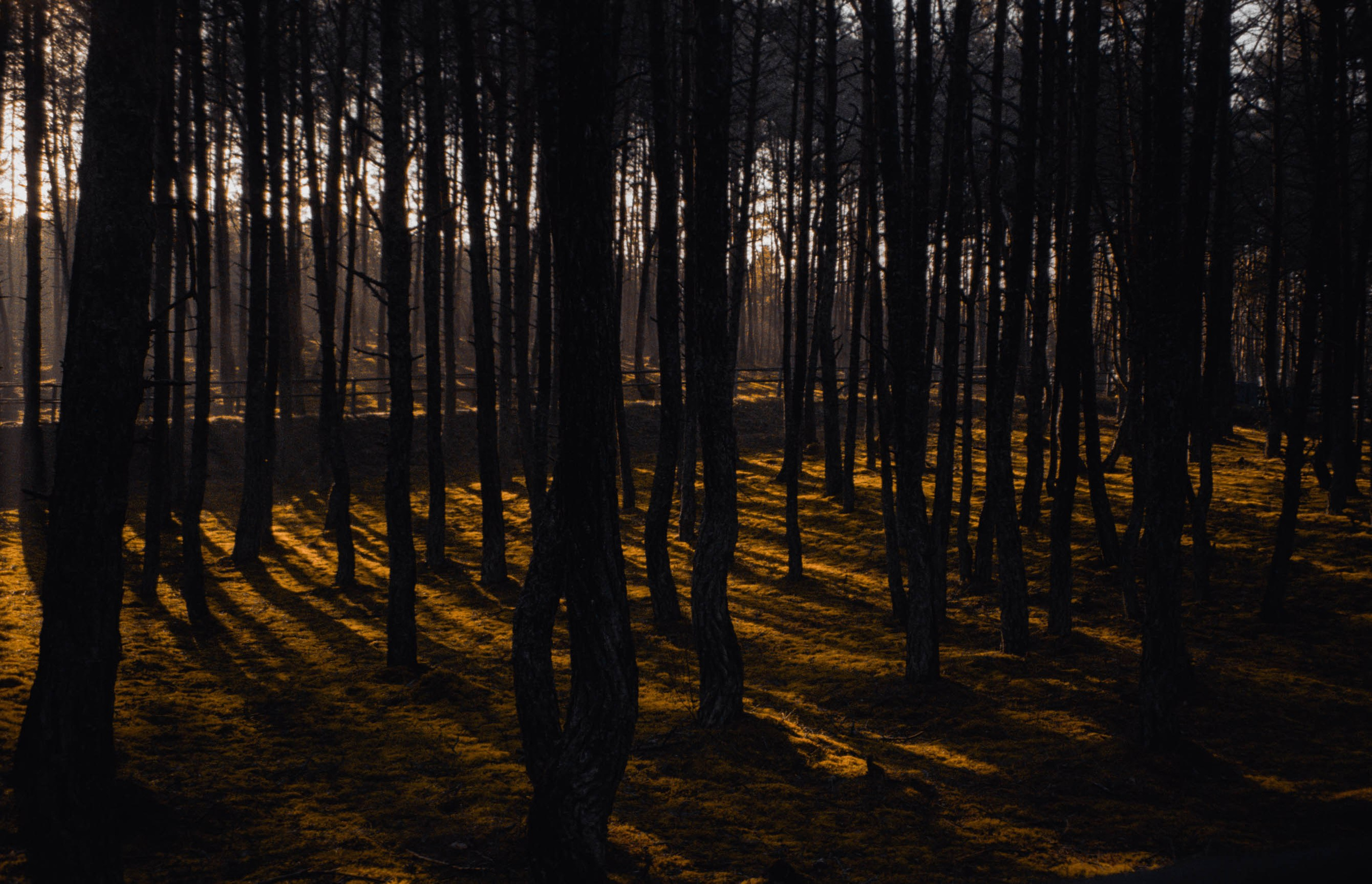 Макаров Сергей | Креативный продюсер