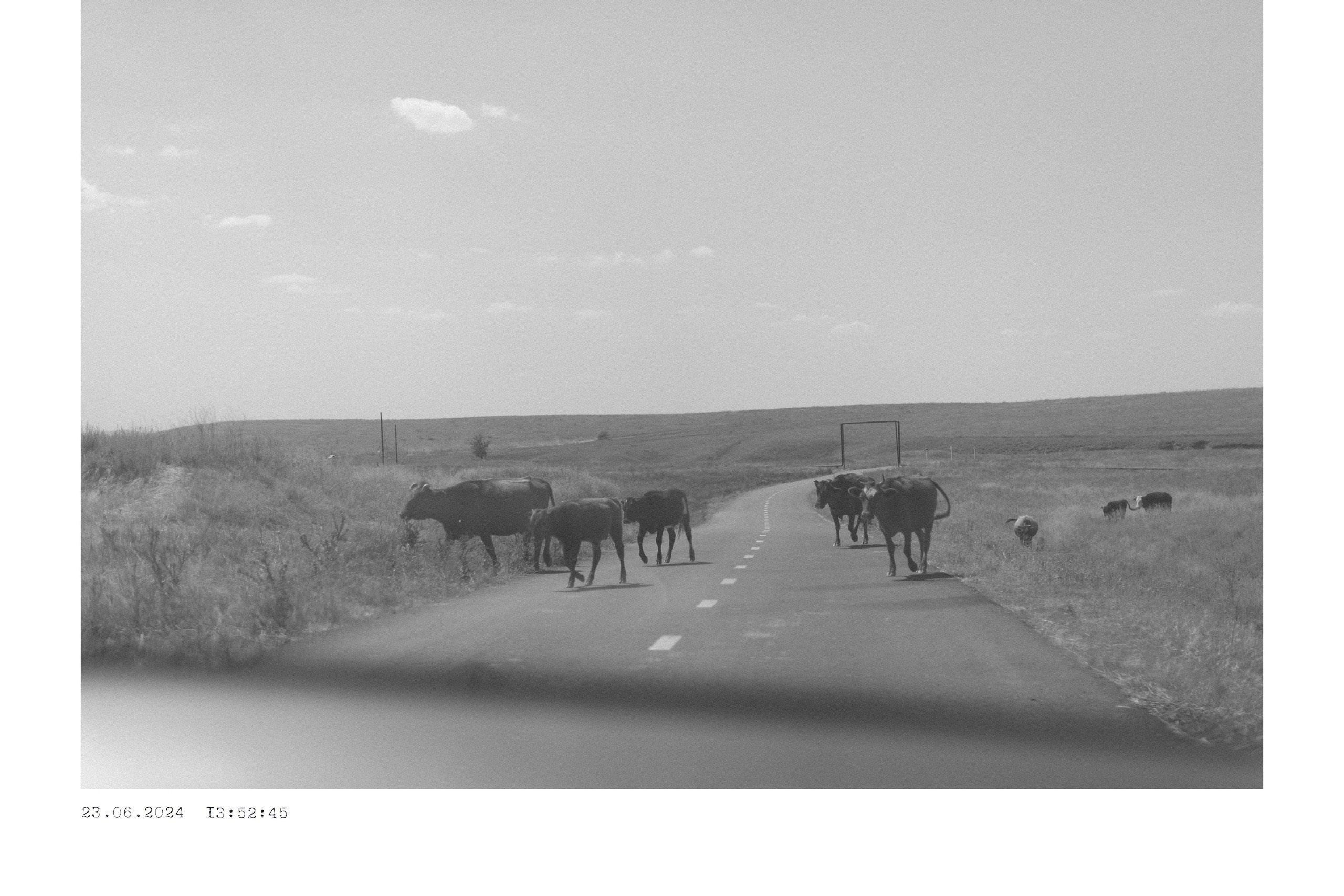 ОБЗОР АКТУАЛЬНЫХ ФОТОКНИГ: Цифровые тени слов. Самоорганизация Низина