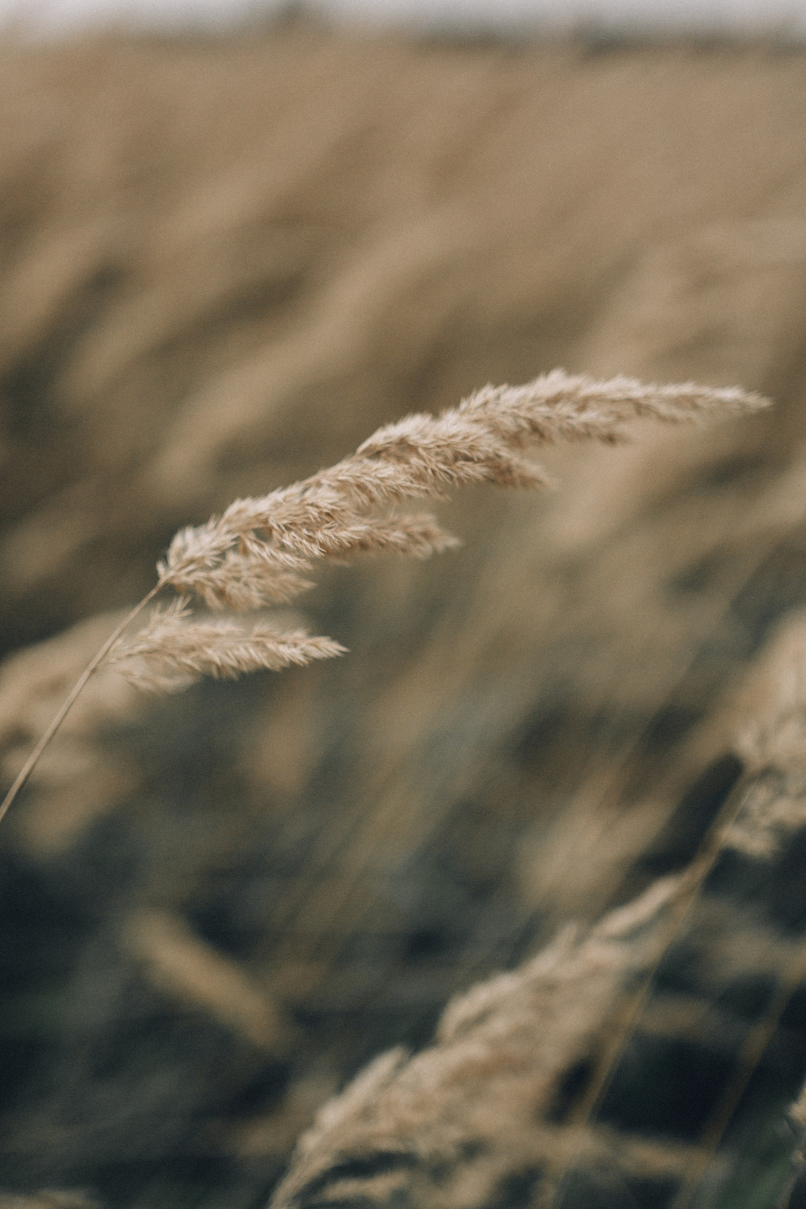 Кино о большой любви к детям. Анастасия Гольнева