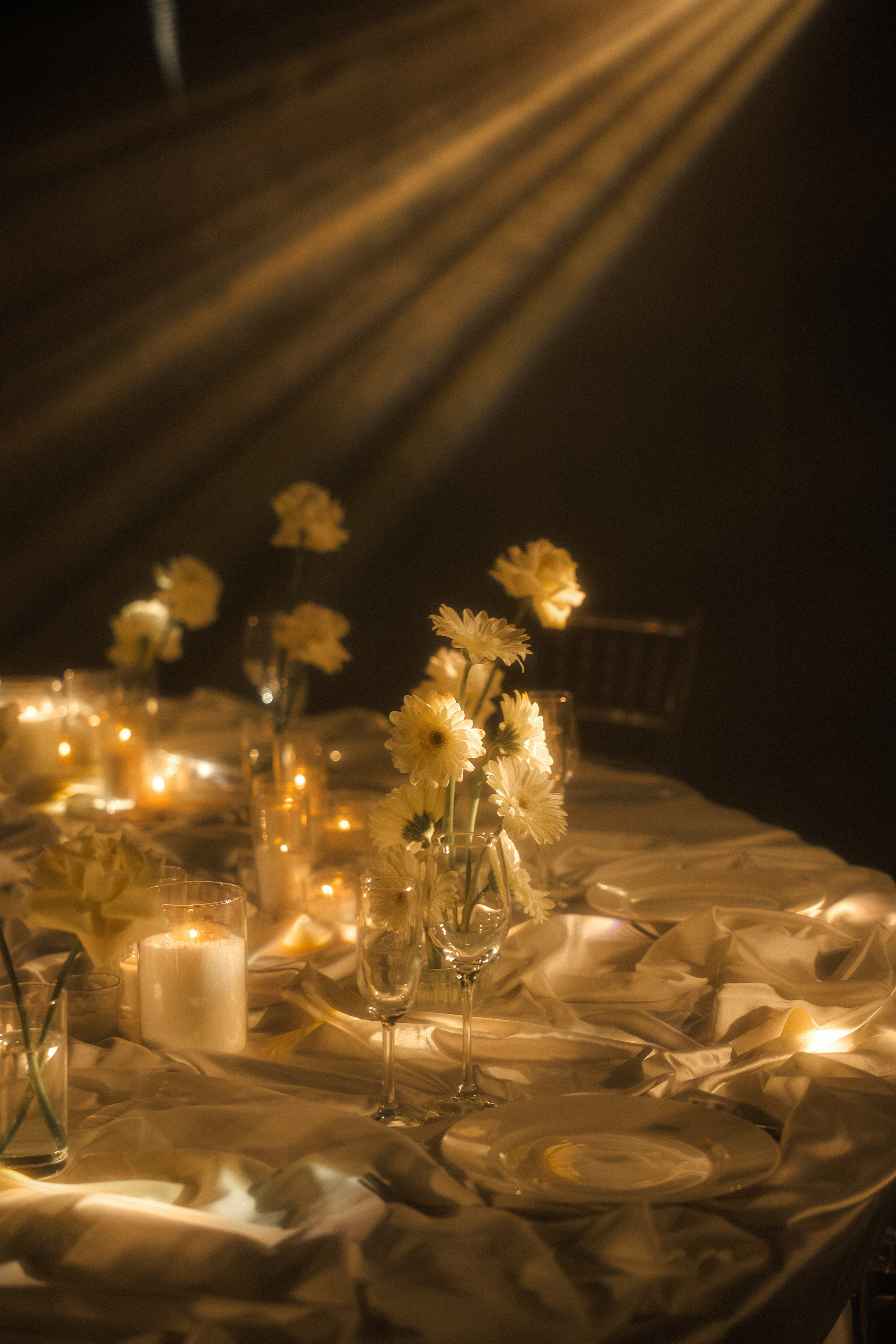 Вероника & Максим. Phdkvmr.ru