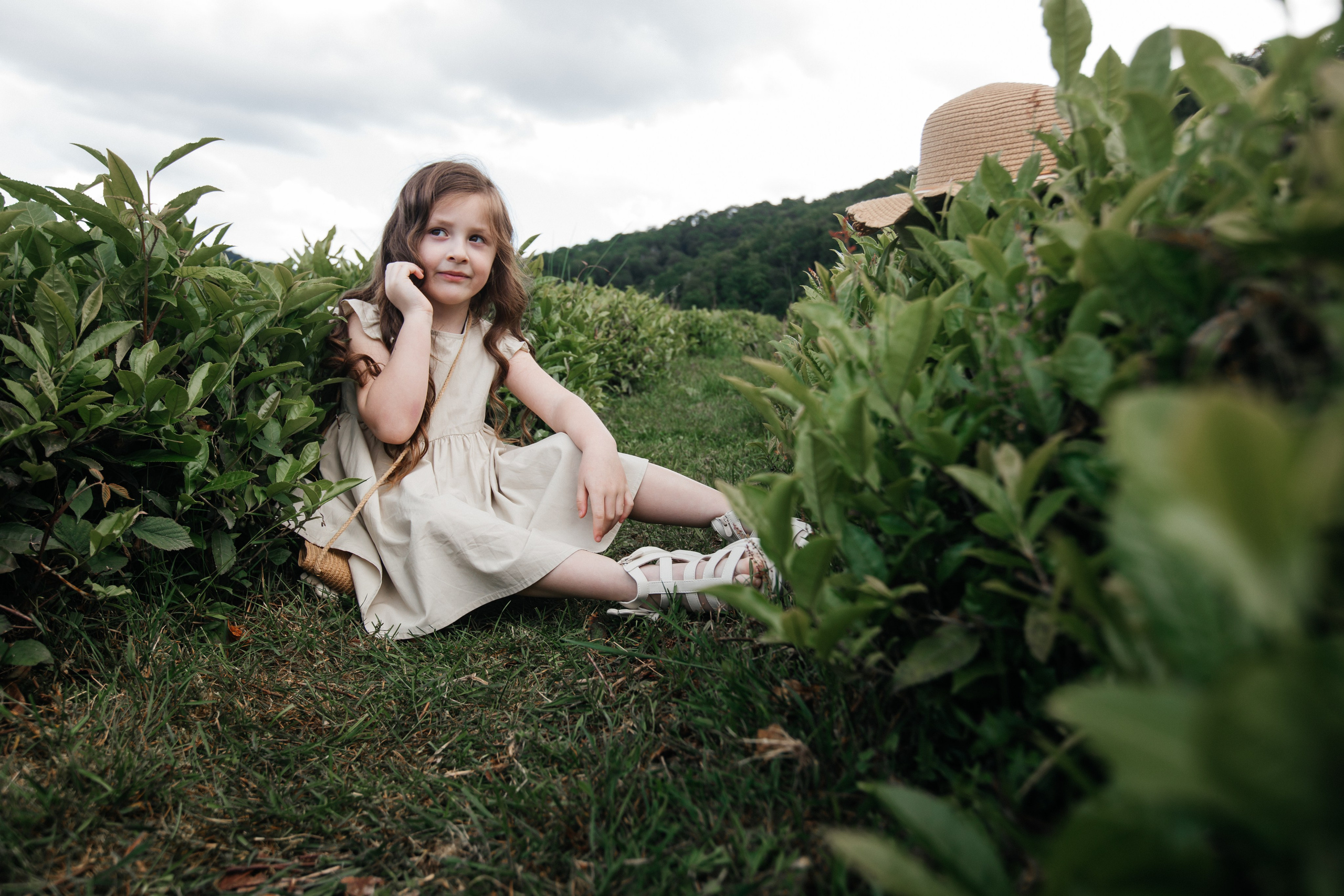 Tea plantation. Efimova Model Agency