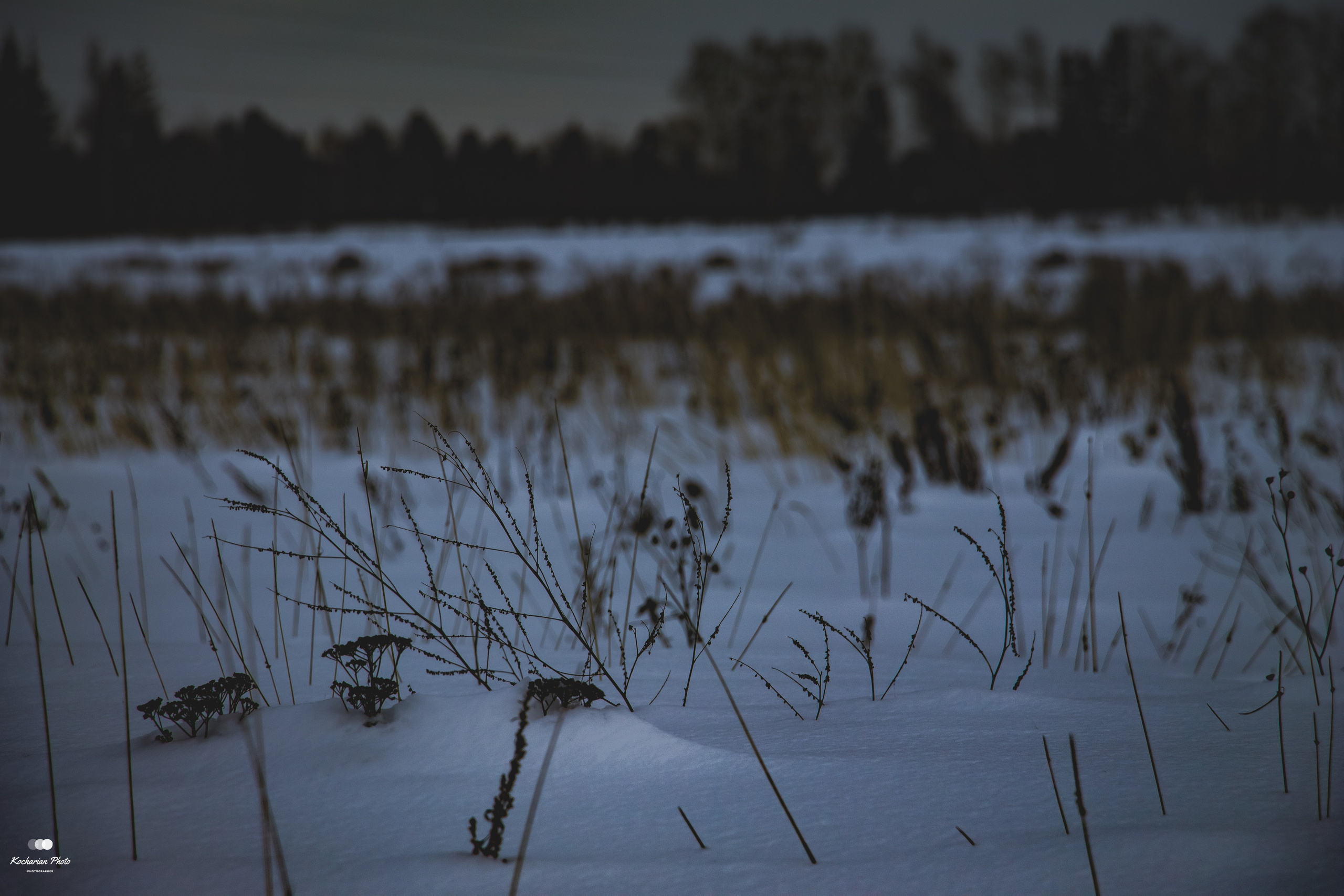 Пейзажи и природа. Photographer K.A.D