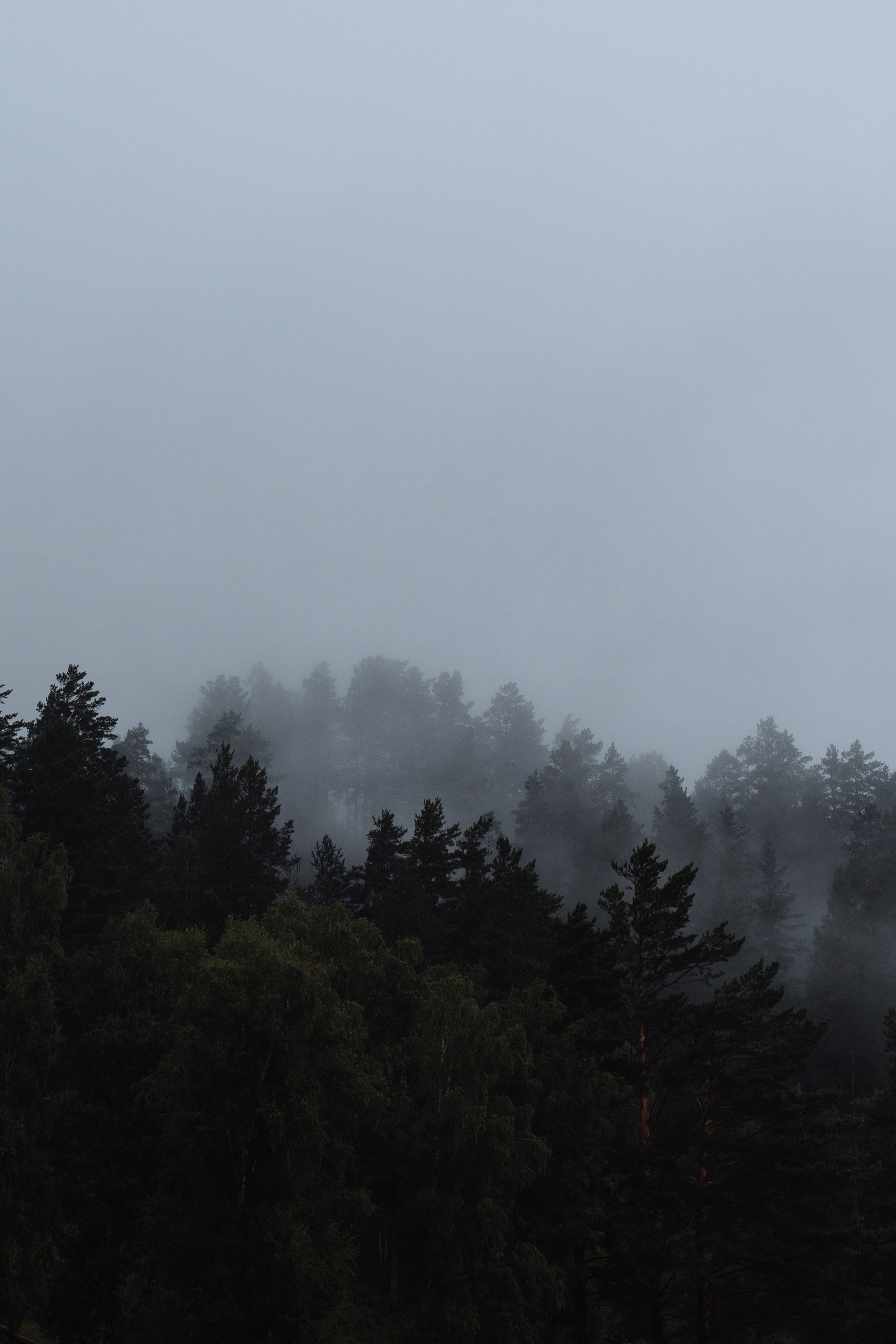 Corporate & Event Projects