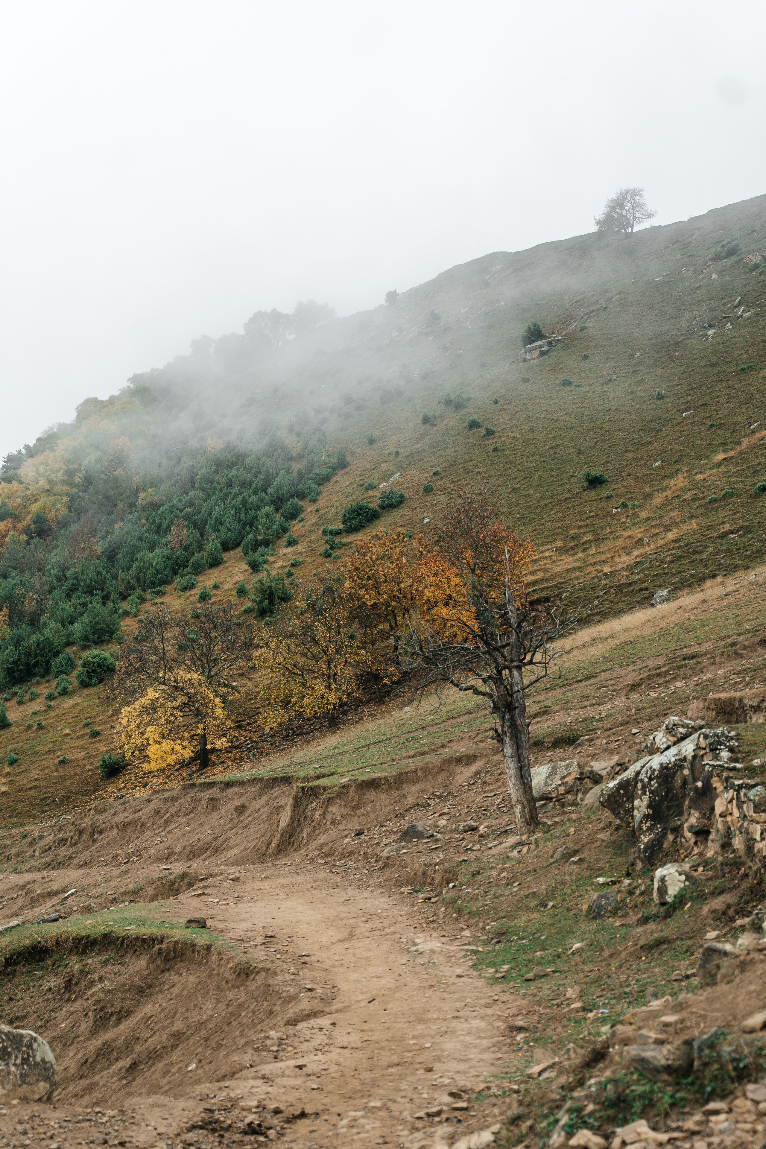 Дагестан. Семейный фотограф в Санкт-Петербурге