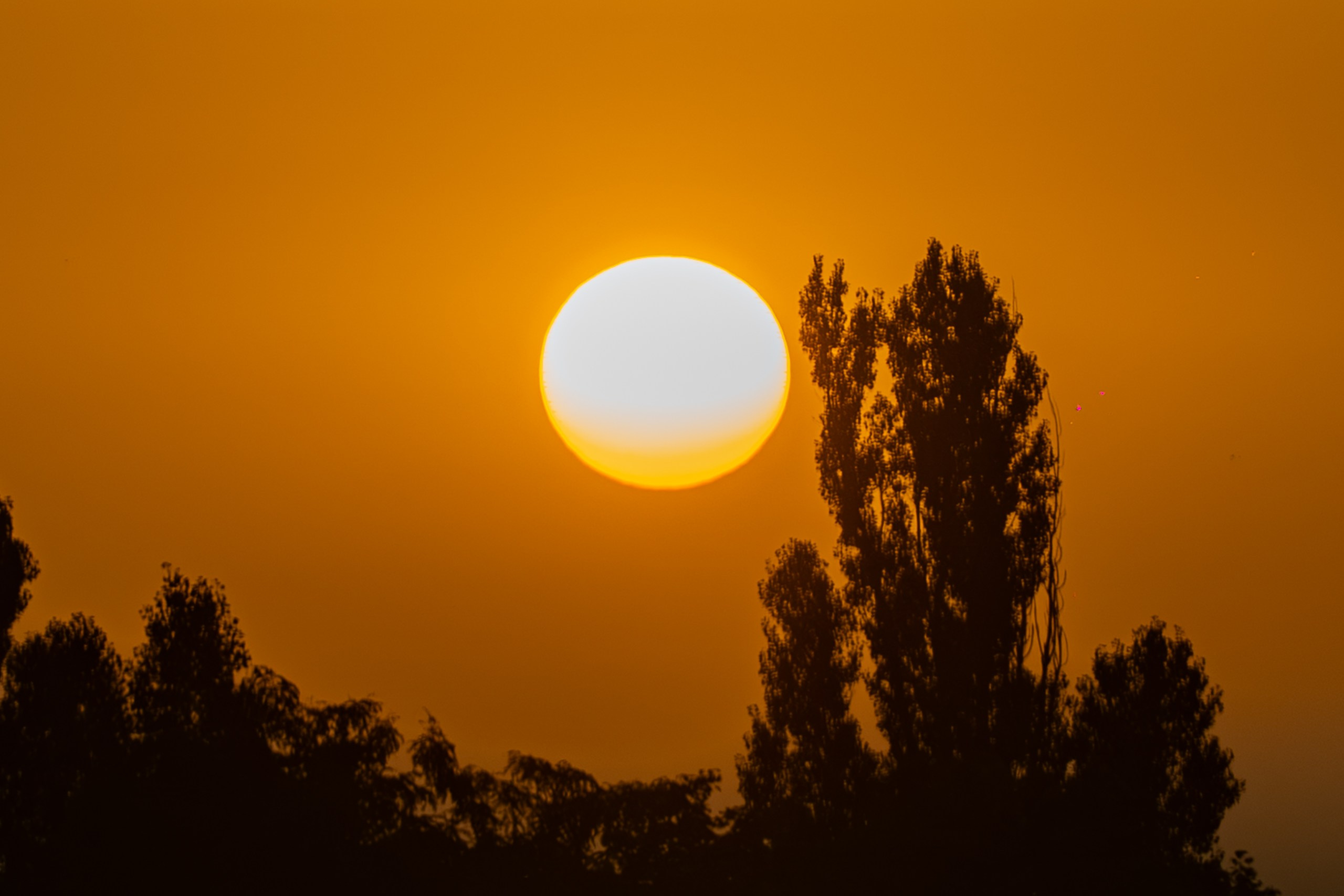 Street. ФОТОГРАФ ИВАН НОВИКОВ | СТАВРОПОЛЬ