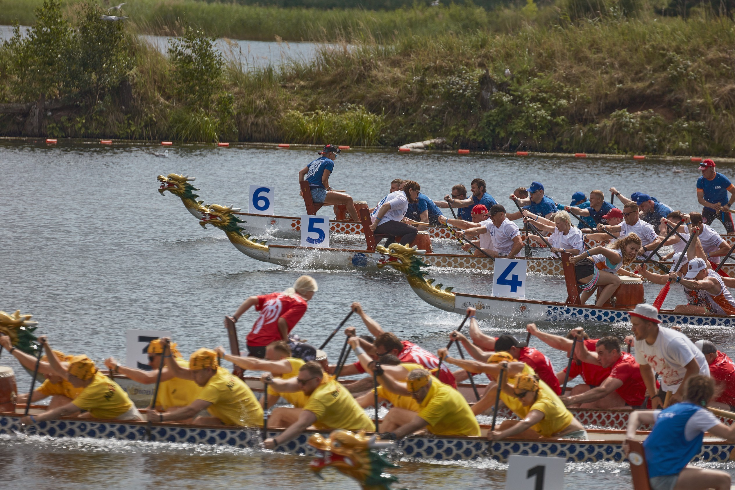 Кубок русского света и электриков по гребле на лодках класса «Дракон». Коммерческий фотограф в Москве Павел Володин — фотосъемка для бизнеса