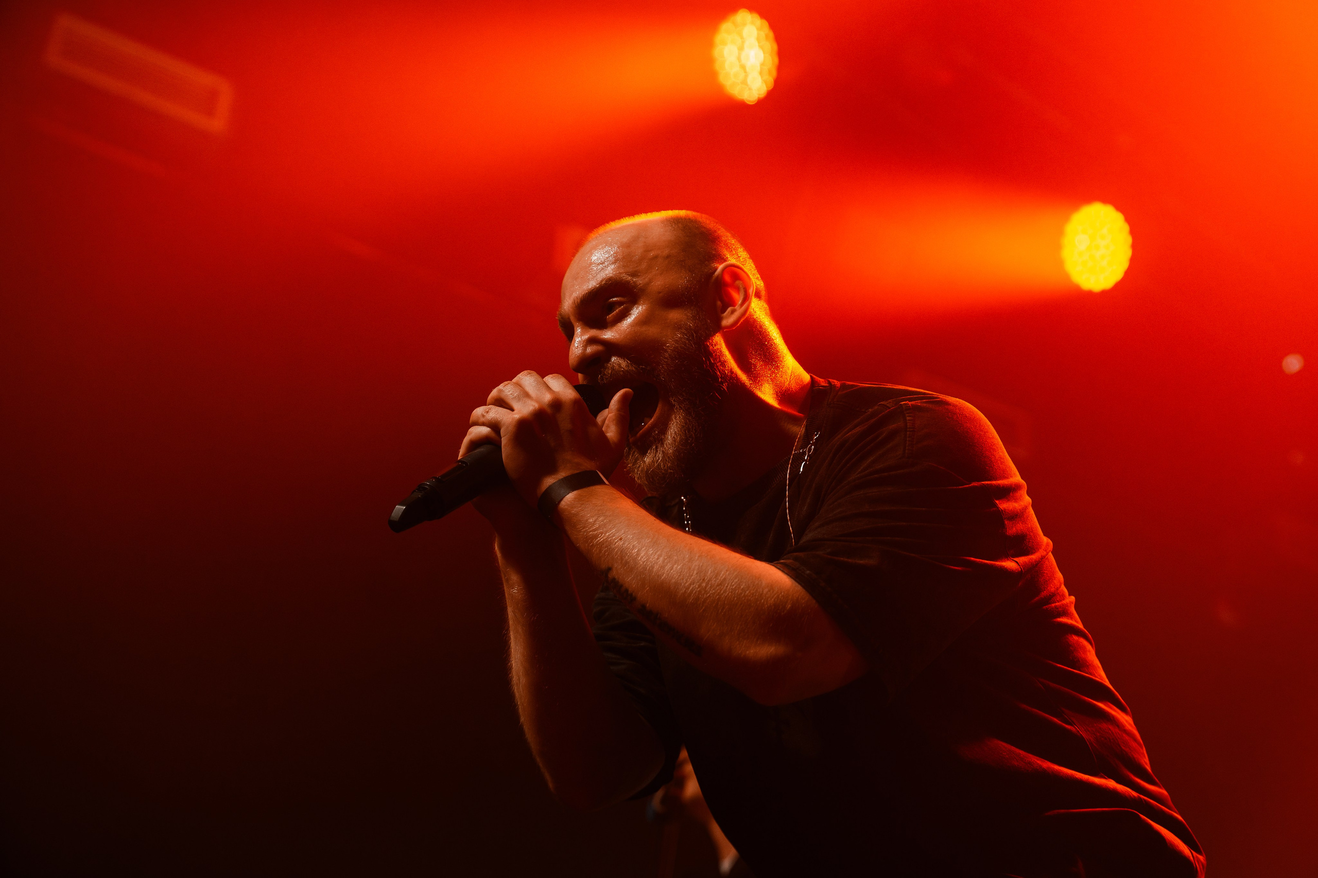 IOSTRA | 22.11.25 | Рассвет