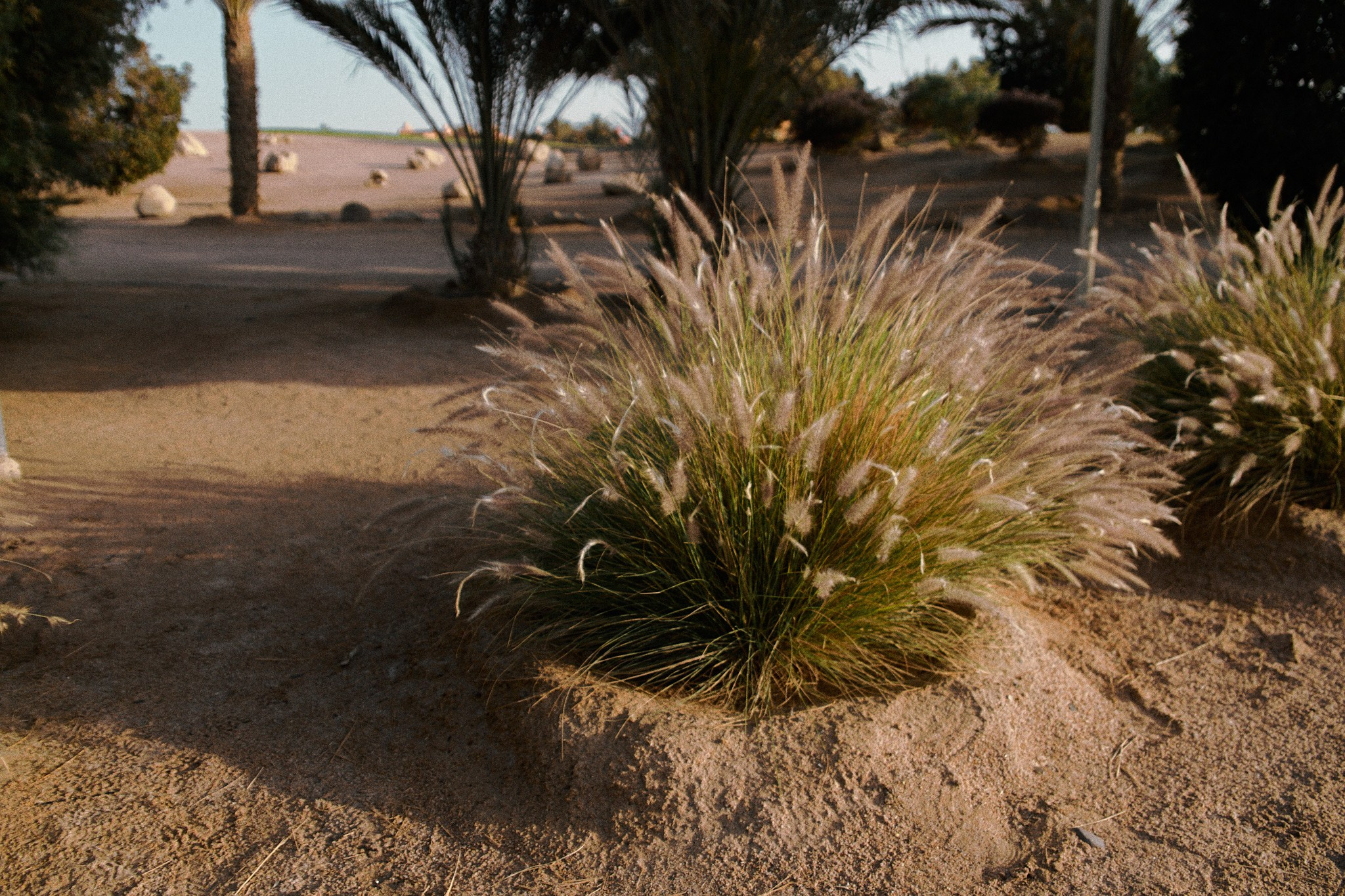 Улица горизонтальная. Jorgis — фотограф в Хургаде / обучение фотографии