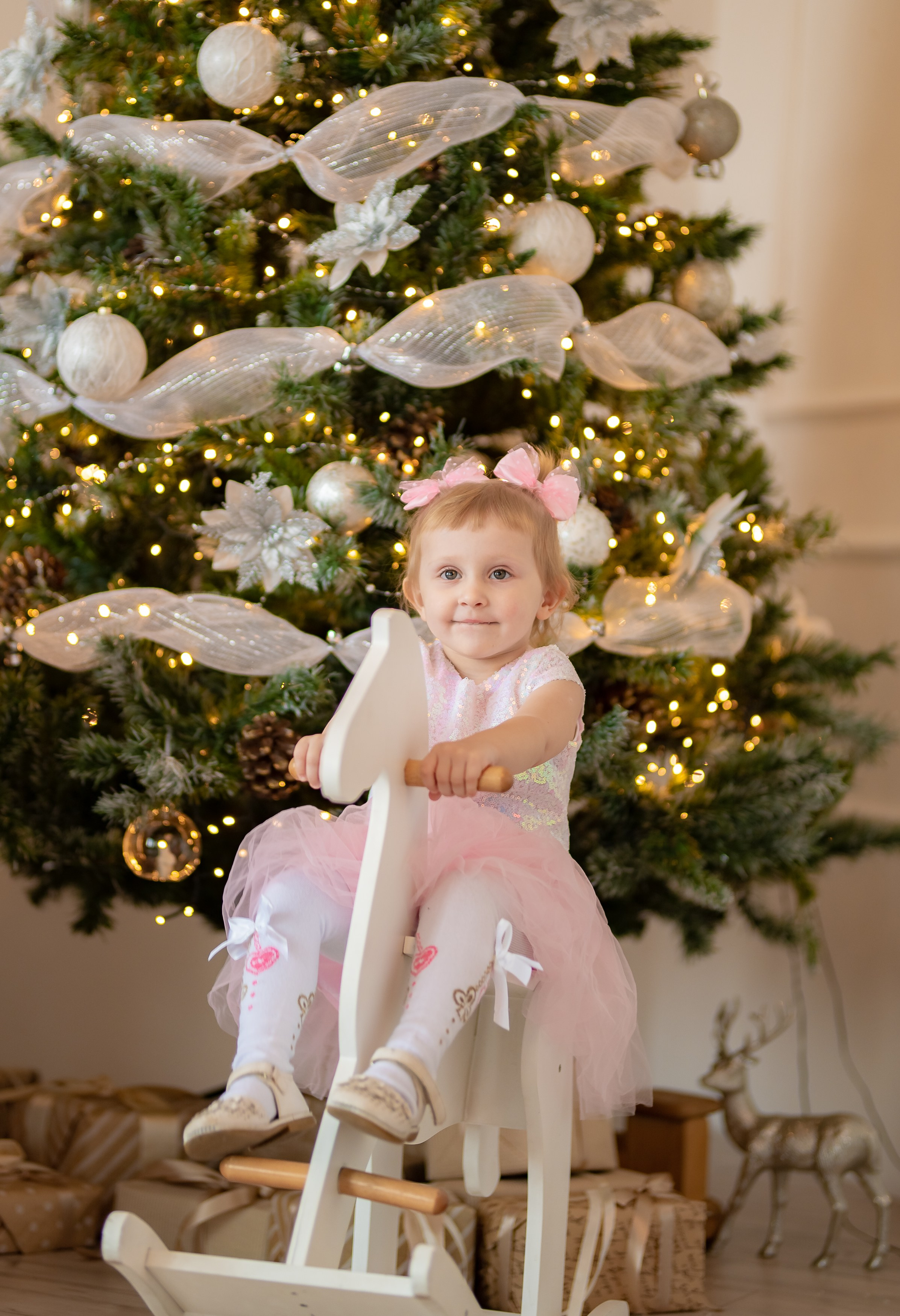 Фотостудия Лайт. ProfotoNK