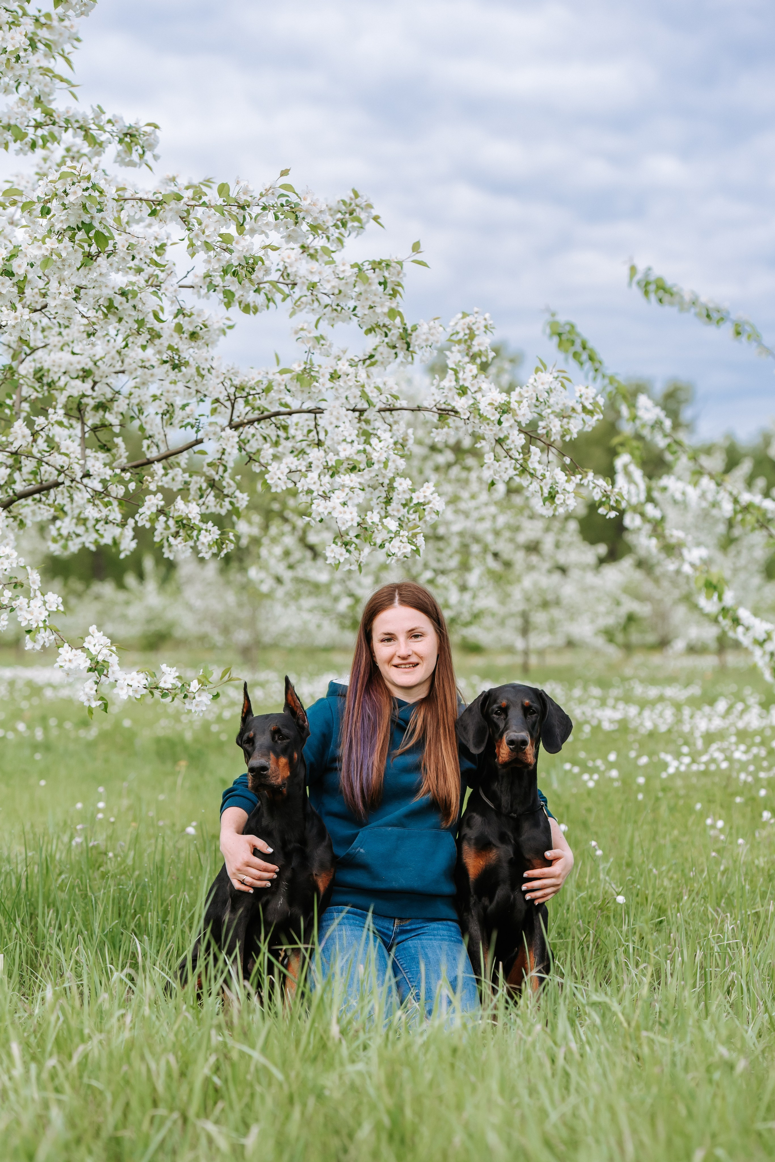 Цветение с доберманами. Фотограф Диана Оленина Красноярск / Братск