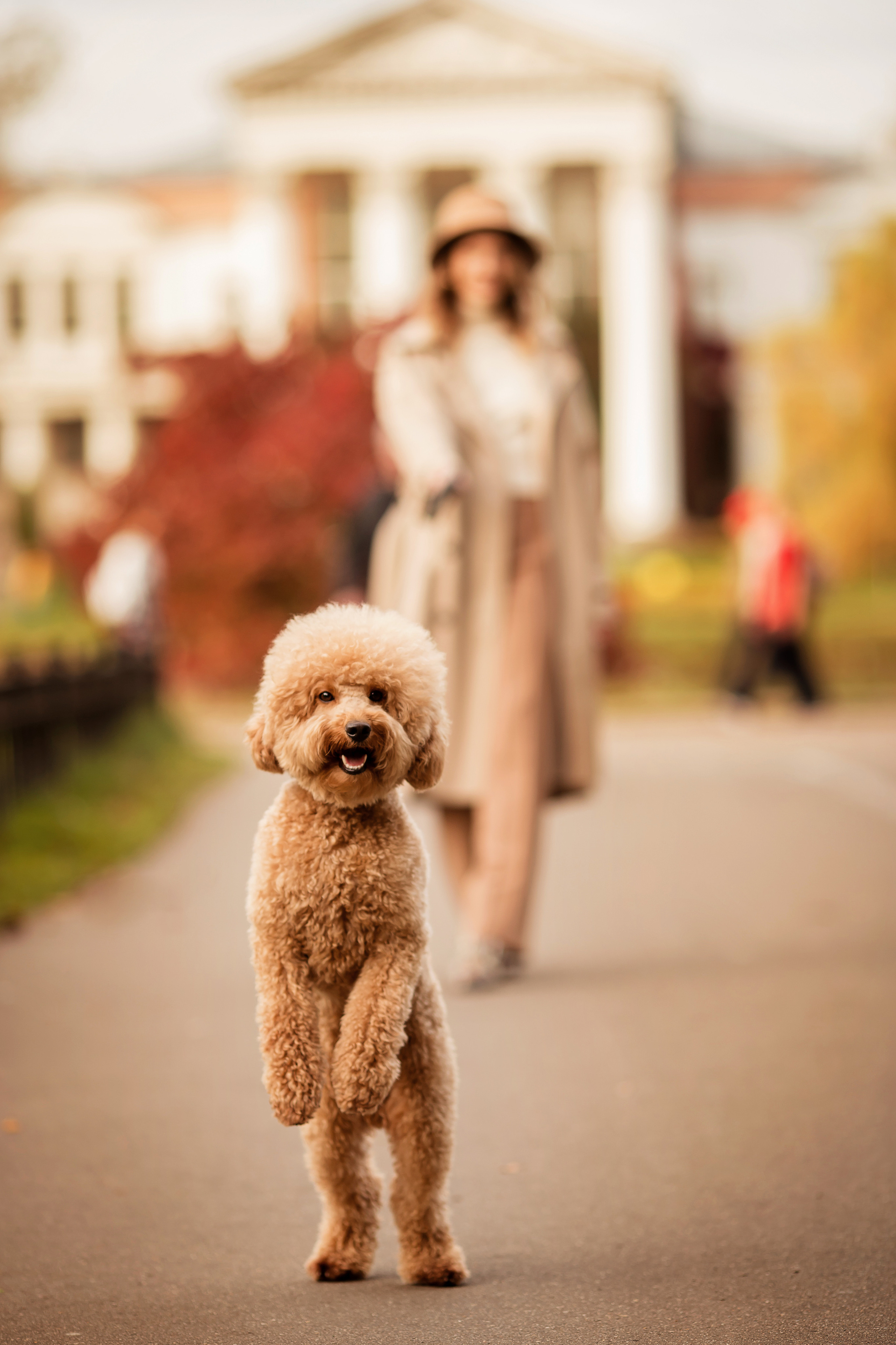 Осень. Семейный фотограф в Москве