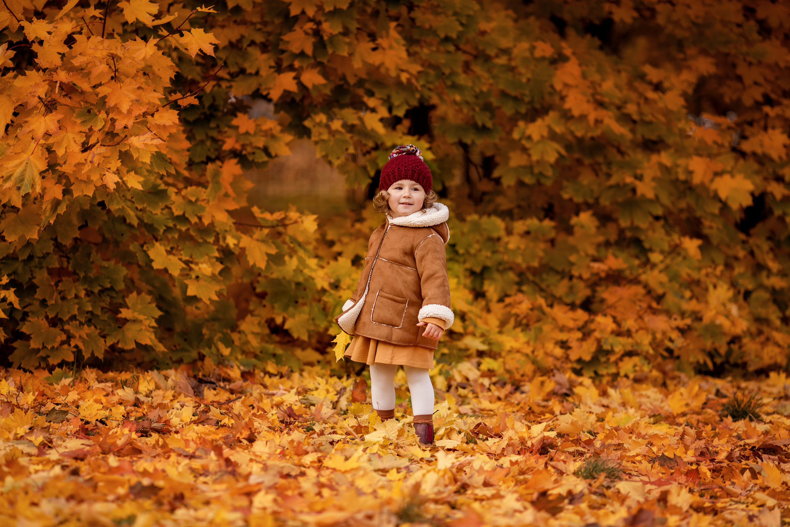Осень. Семейный фотограф в Москве