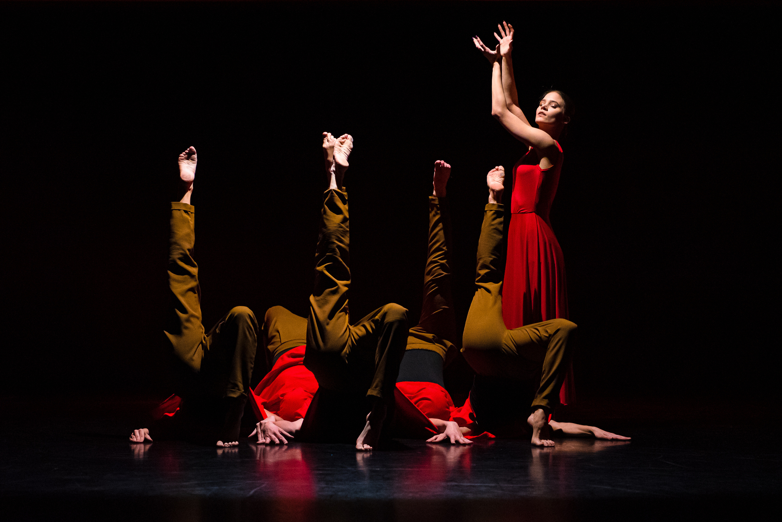 Клетка. Репортажный фотограф в Санкт-Петербурге Алексеева Дарья