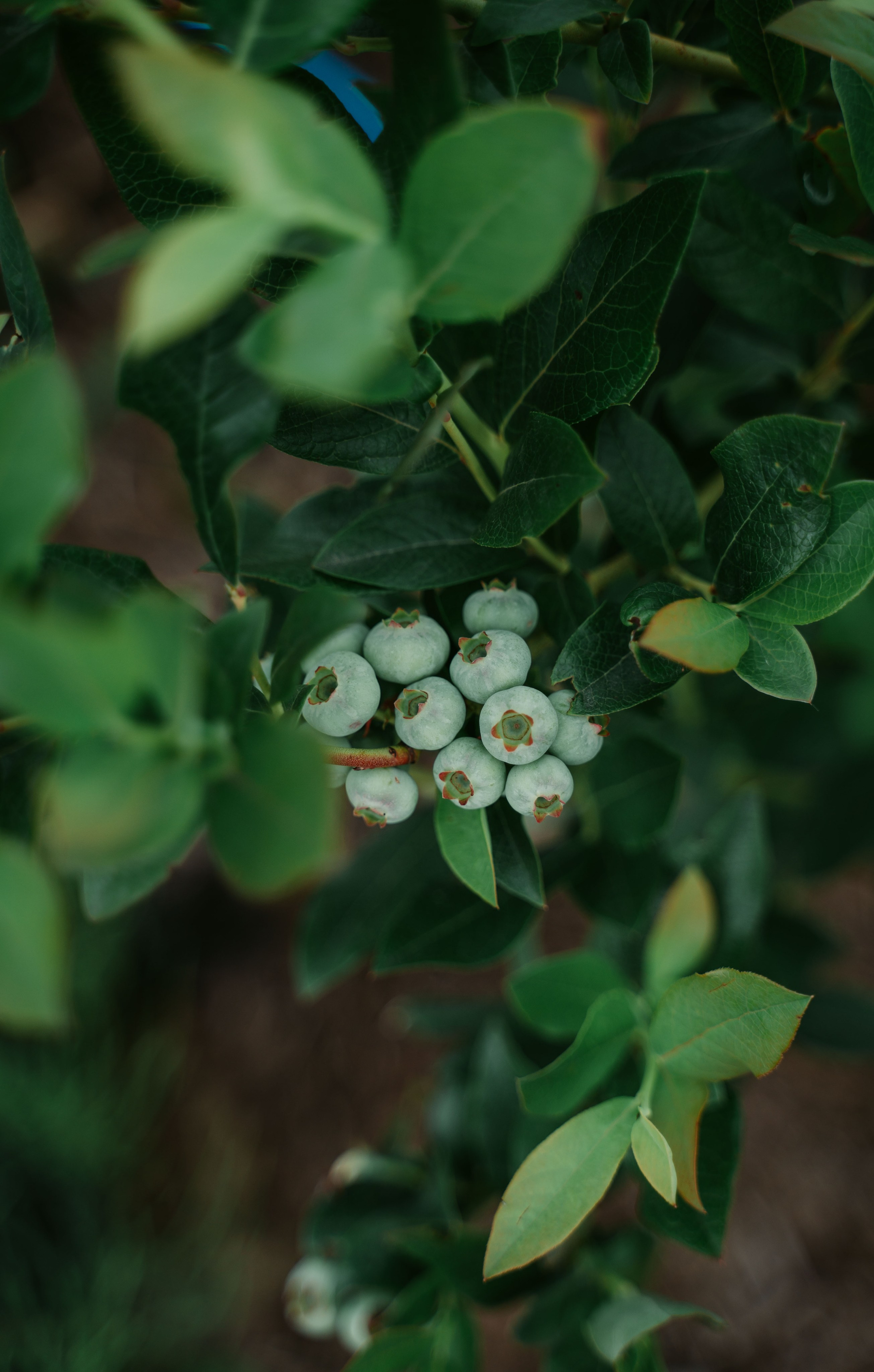 Гектария. Встреча лидеров мнений / 2023. Саша Копылов, фотограф в Казани