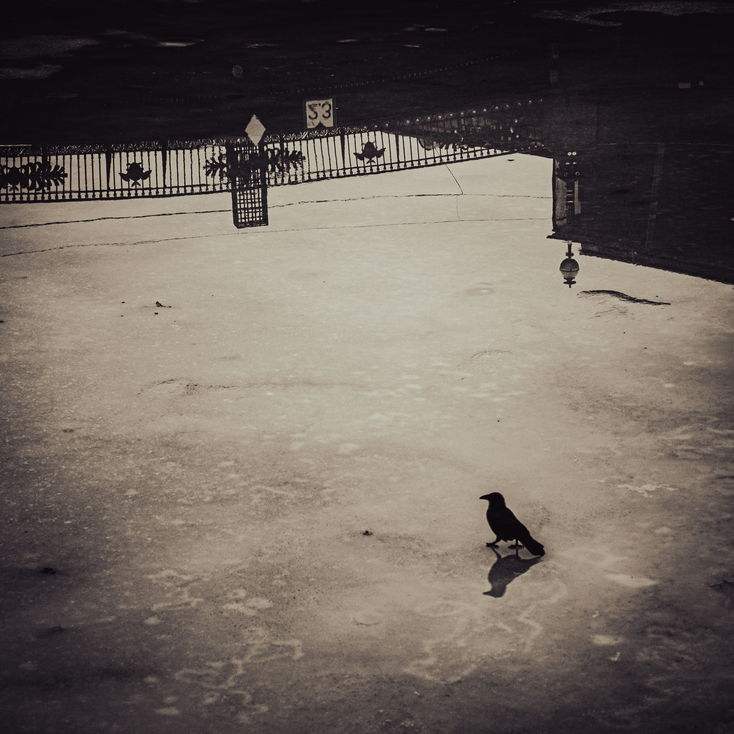 Зазеркалье 2025. Яна Каменская