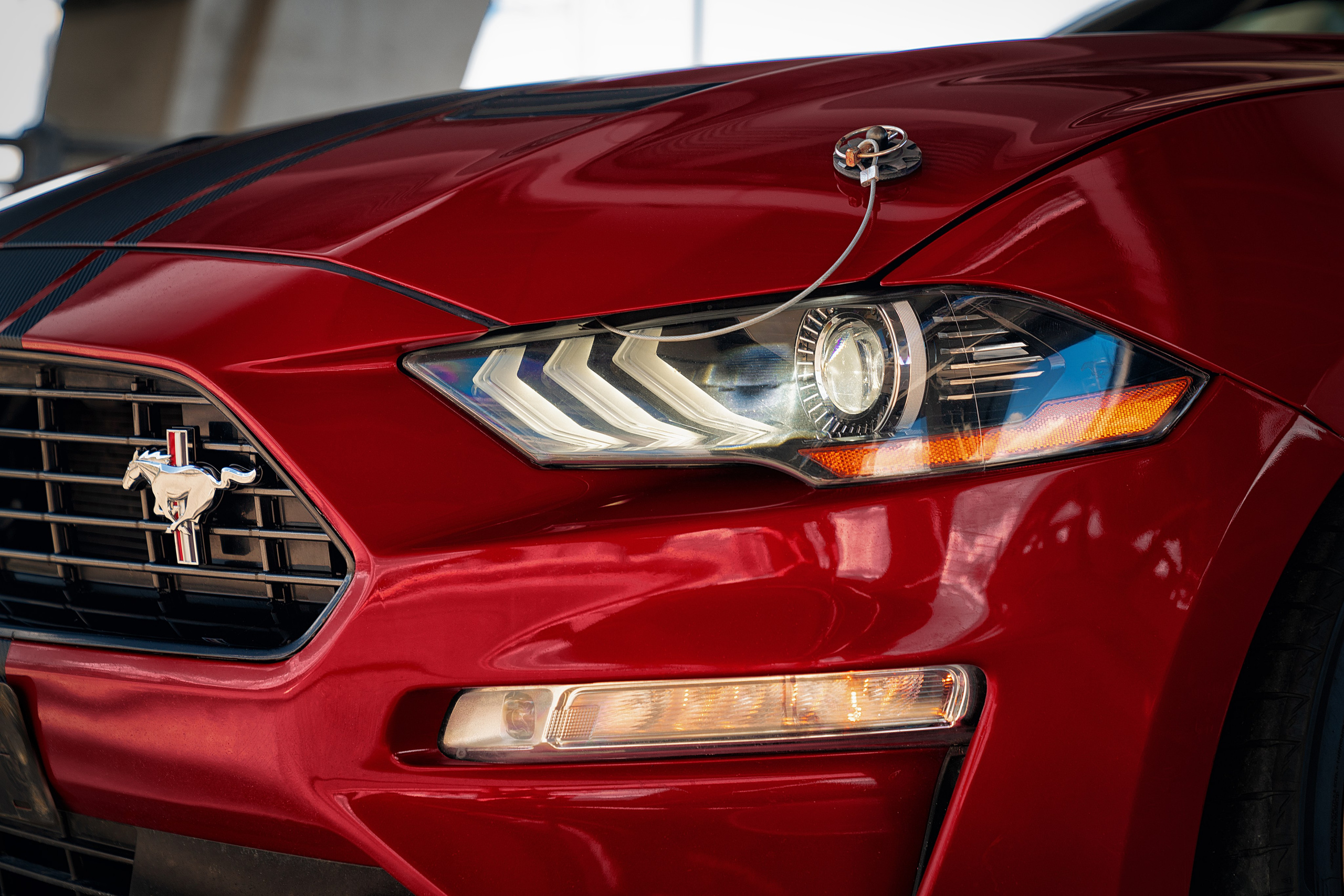 Ford Mustang VI. Антон Незримый | Фотограф в Санкт-Петербурге