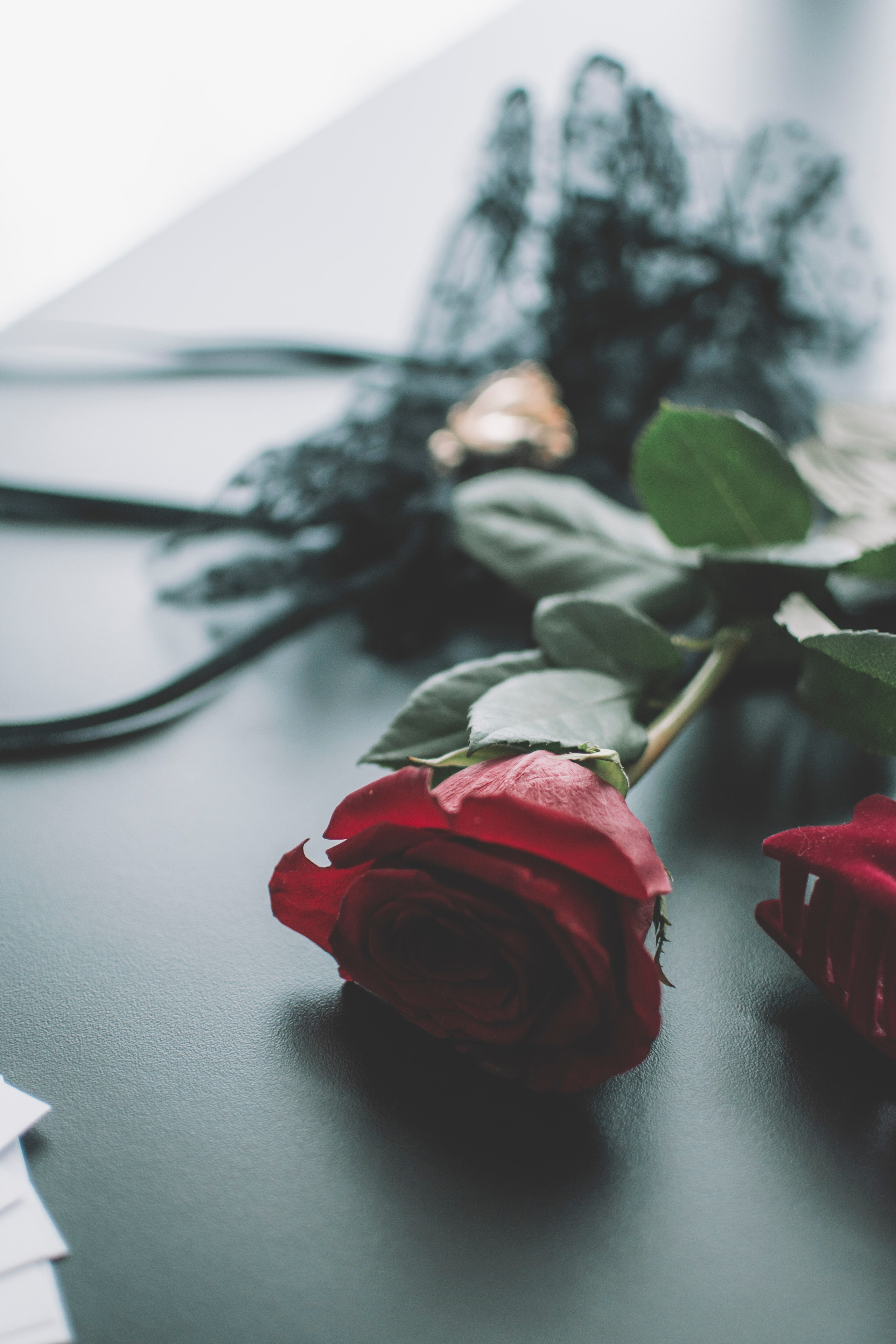 Анна. Семейный и свадебный фотограф Губкинский и Ставрополь