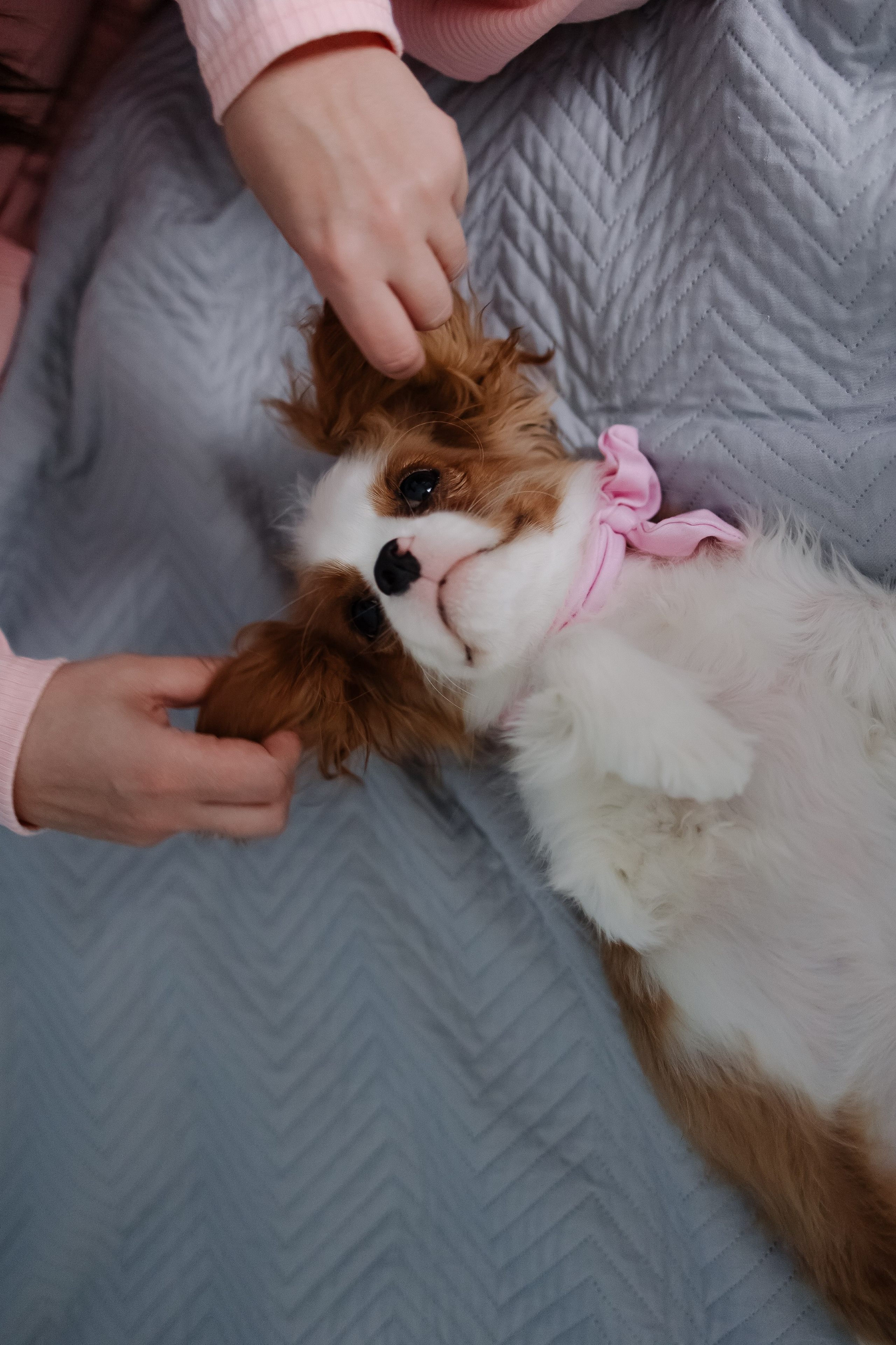 Хочу надеть купальник (Николаево). Свадебный фотограф