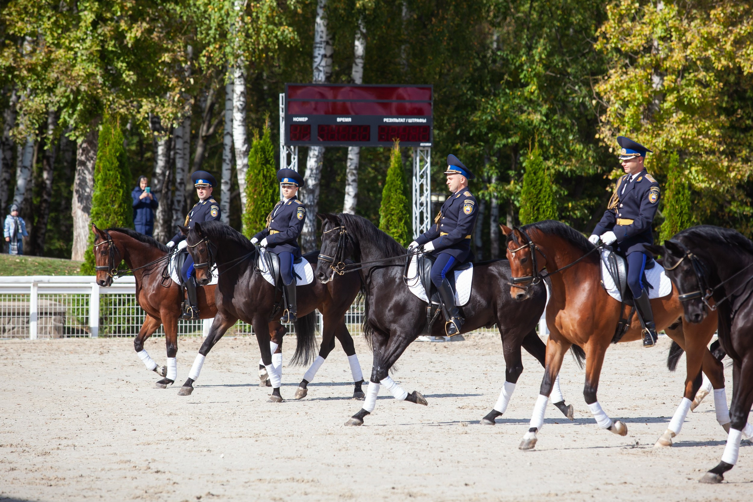 Кубок Губернатора по конкуру (21 сентября 2019). Репортажный фотограф Алексей Пирязев