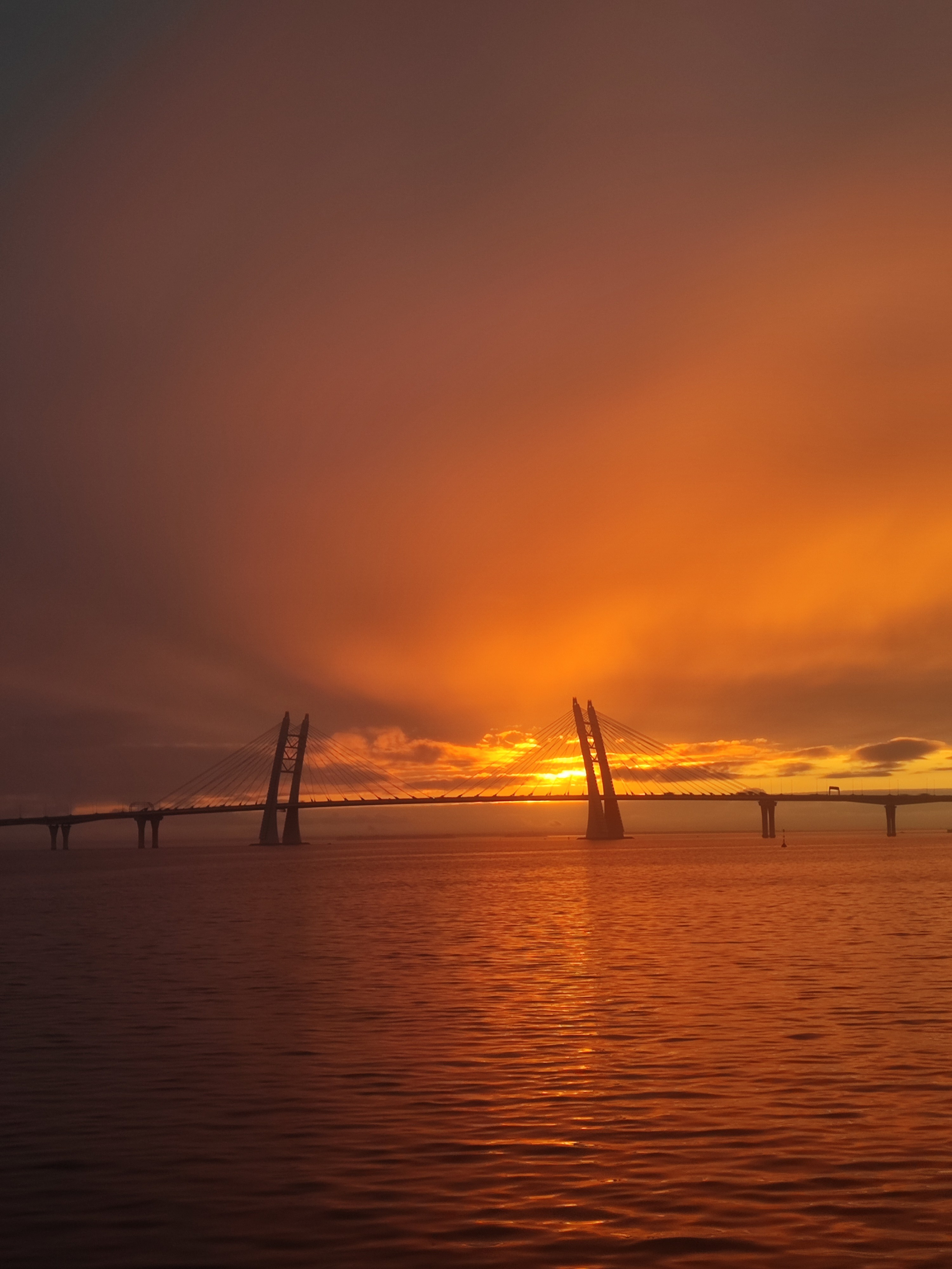 Намобилкус питерский. Репортажный фотограф Алексей Пирязев