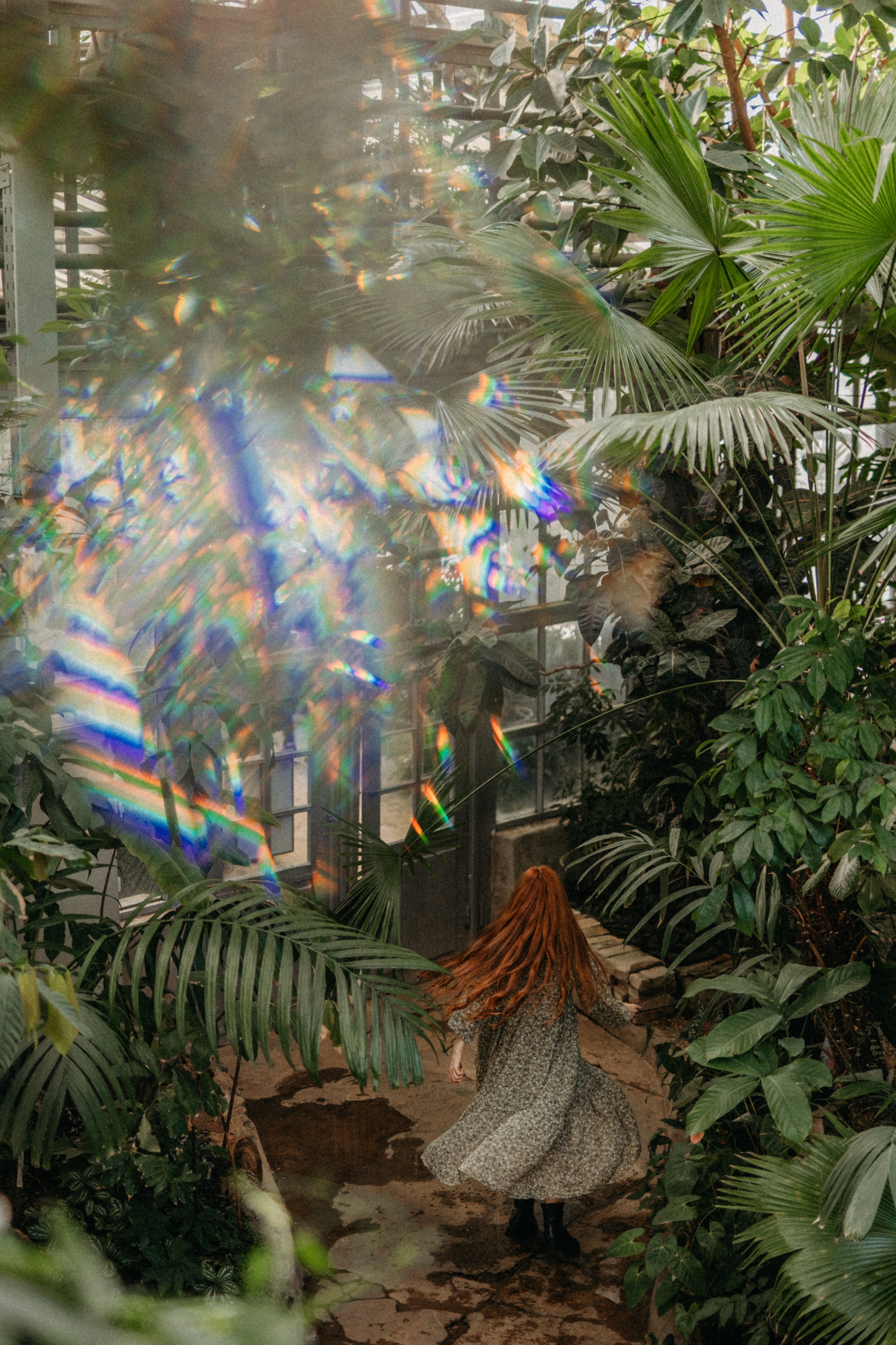 Там, где круглый год весна. Фотограф Наталья Колганова