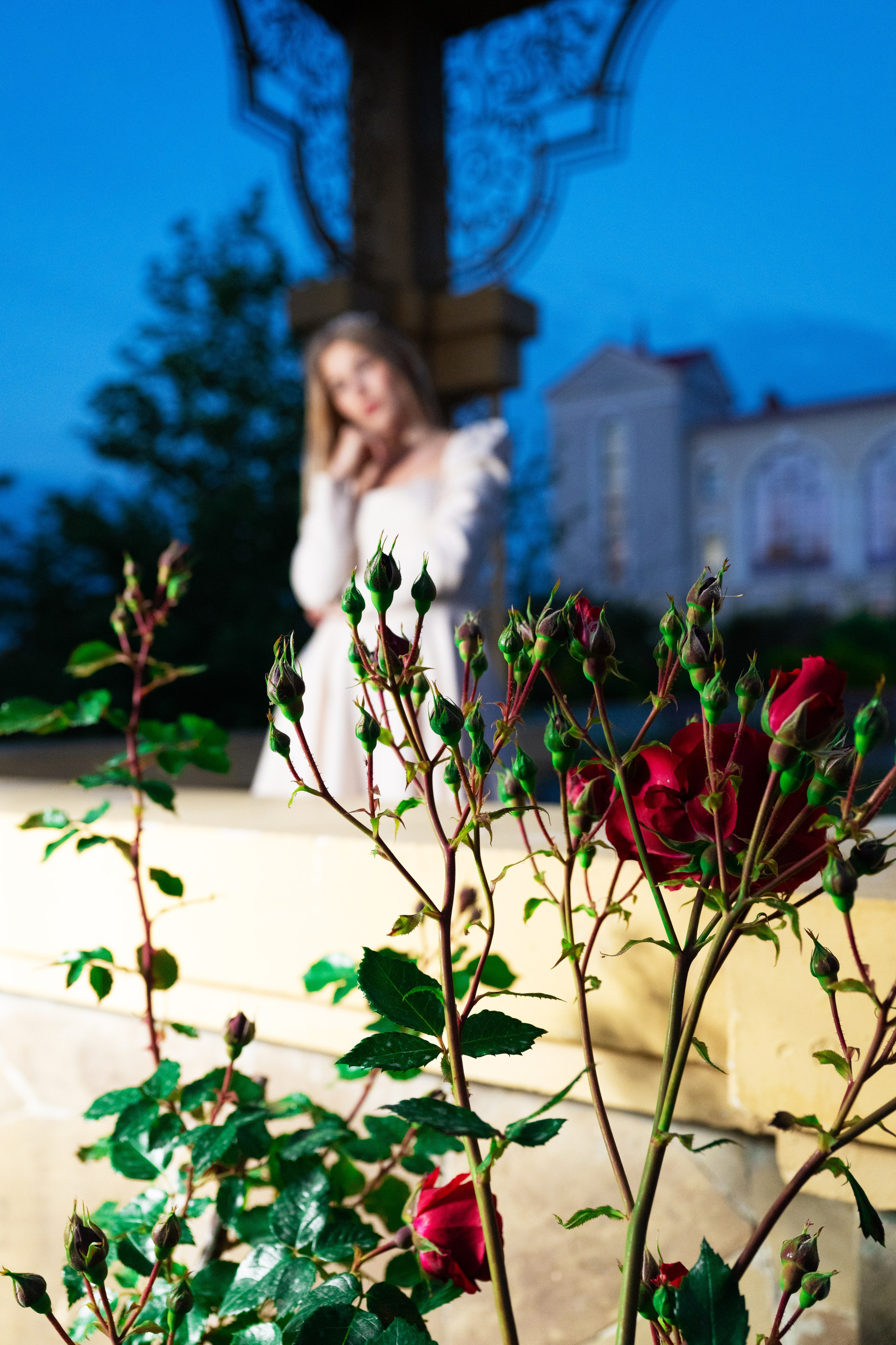 Выездные и прогулочные фотосессии. Морские, Street. Студийный и свадебный фотограф и видеограф в Севастополе — Юлия Макаренко