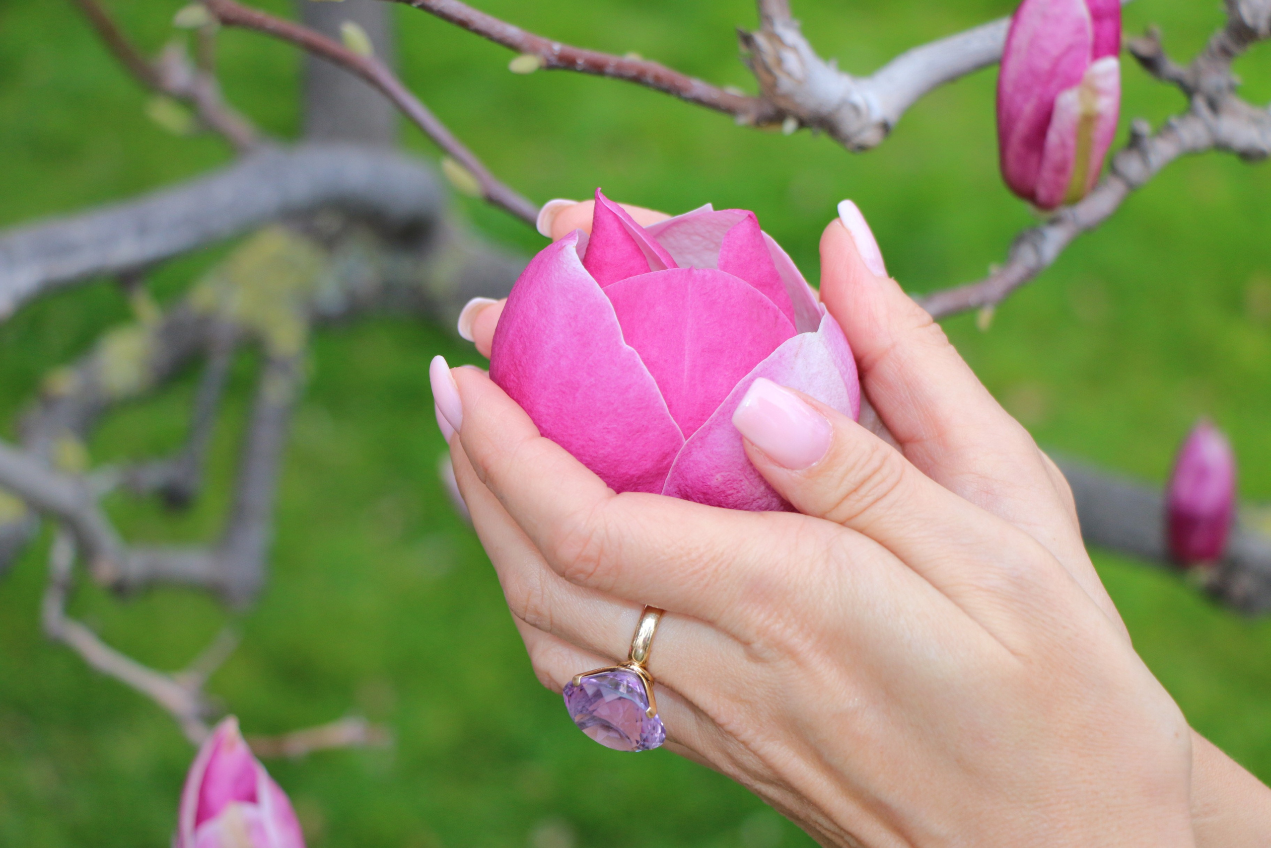 Природа. Семейный и детский фотограф в Ялте Ольга Солерина