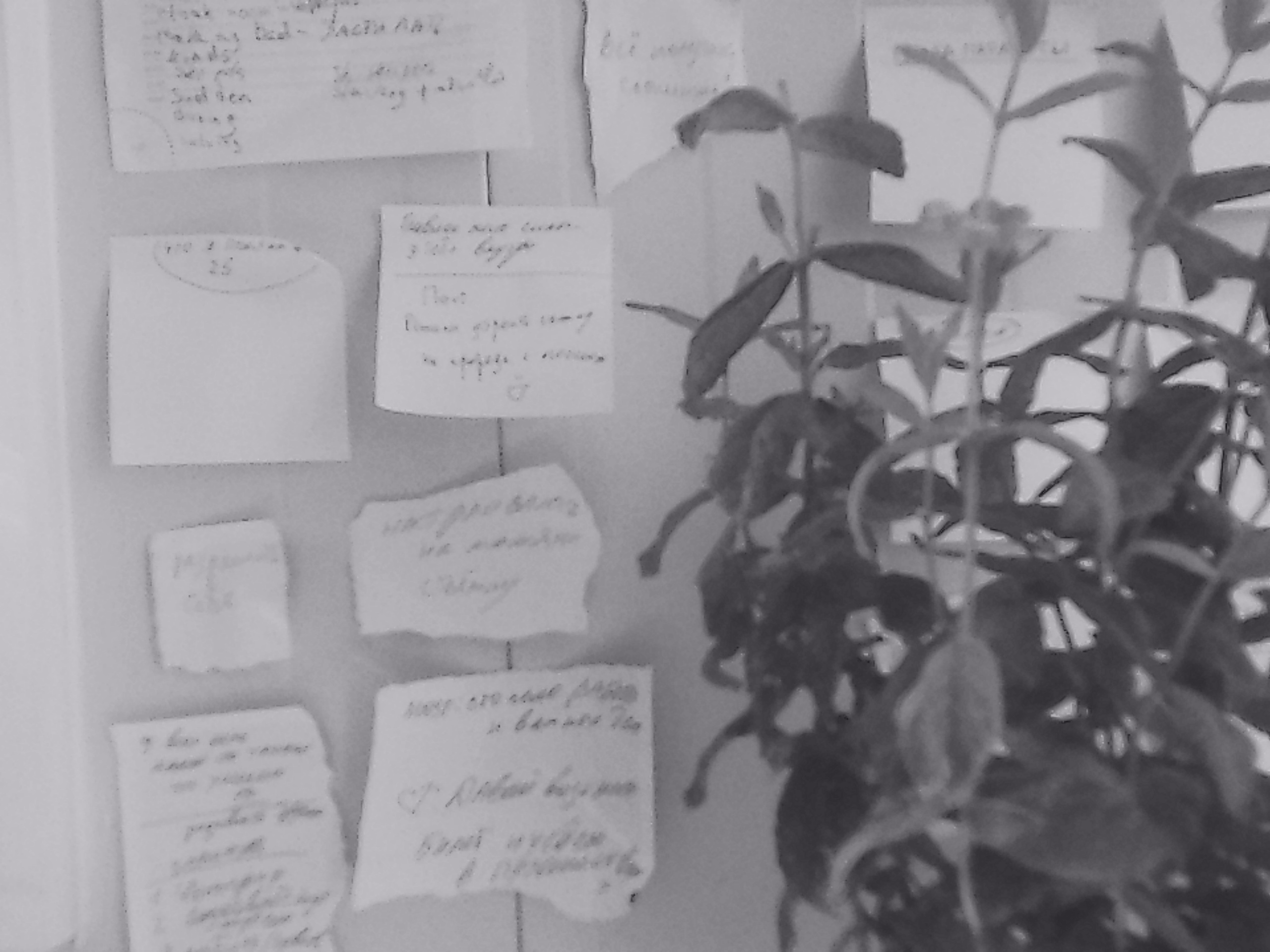 «Крошка 🐣». Anita_photo