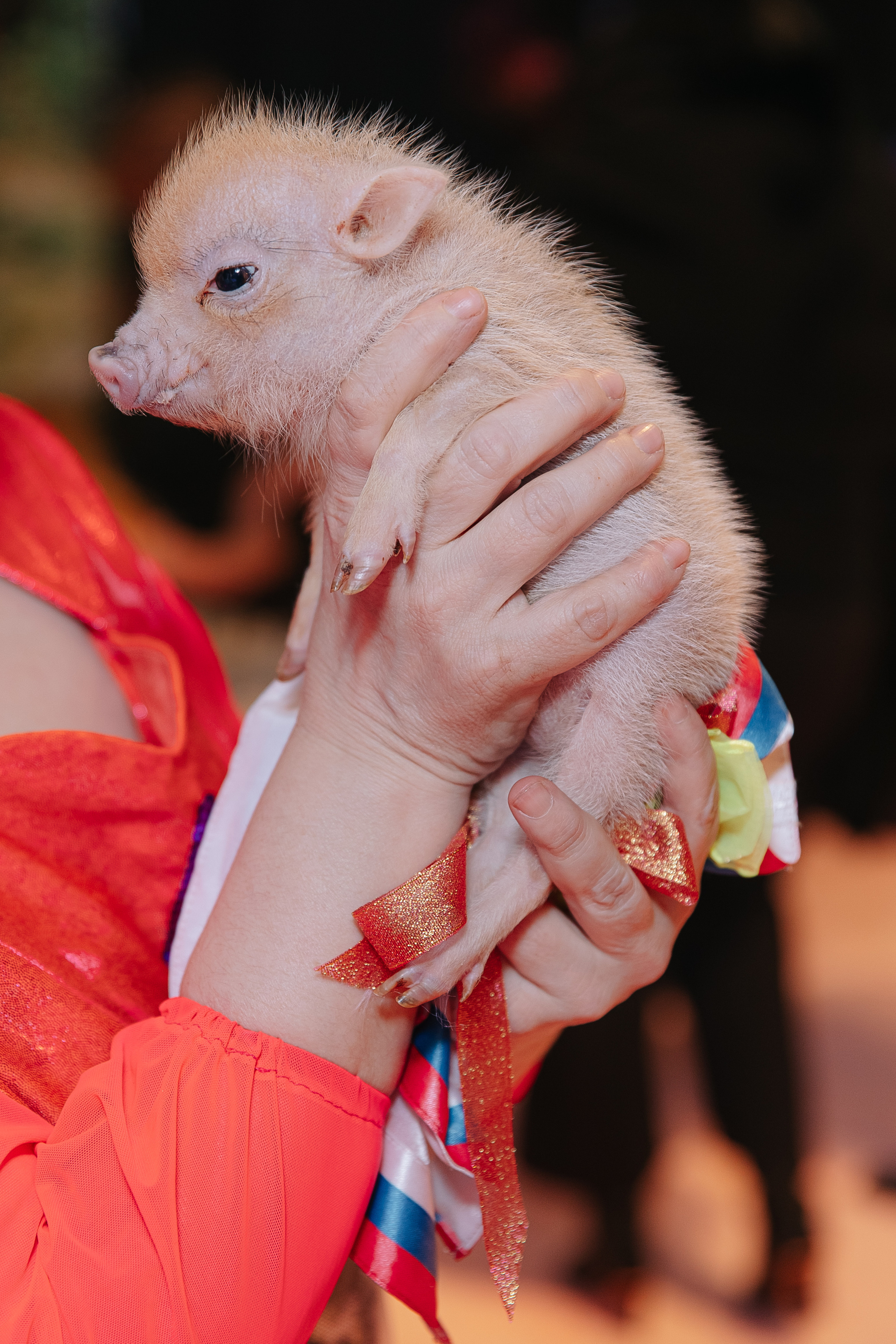Эмме 3. Свадебный фотограф Москва Саша Серегина (Сашина)
