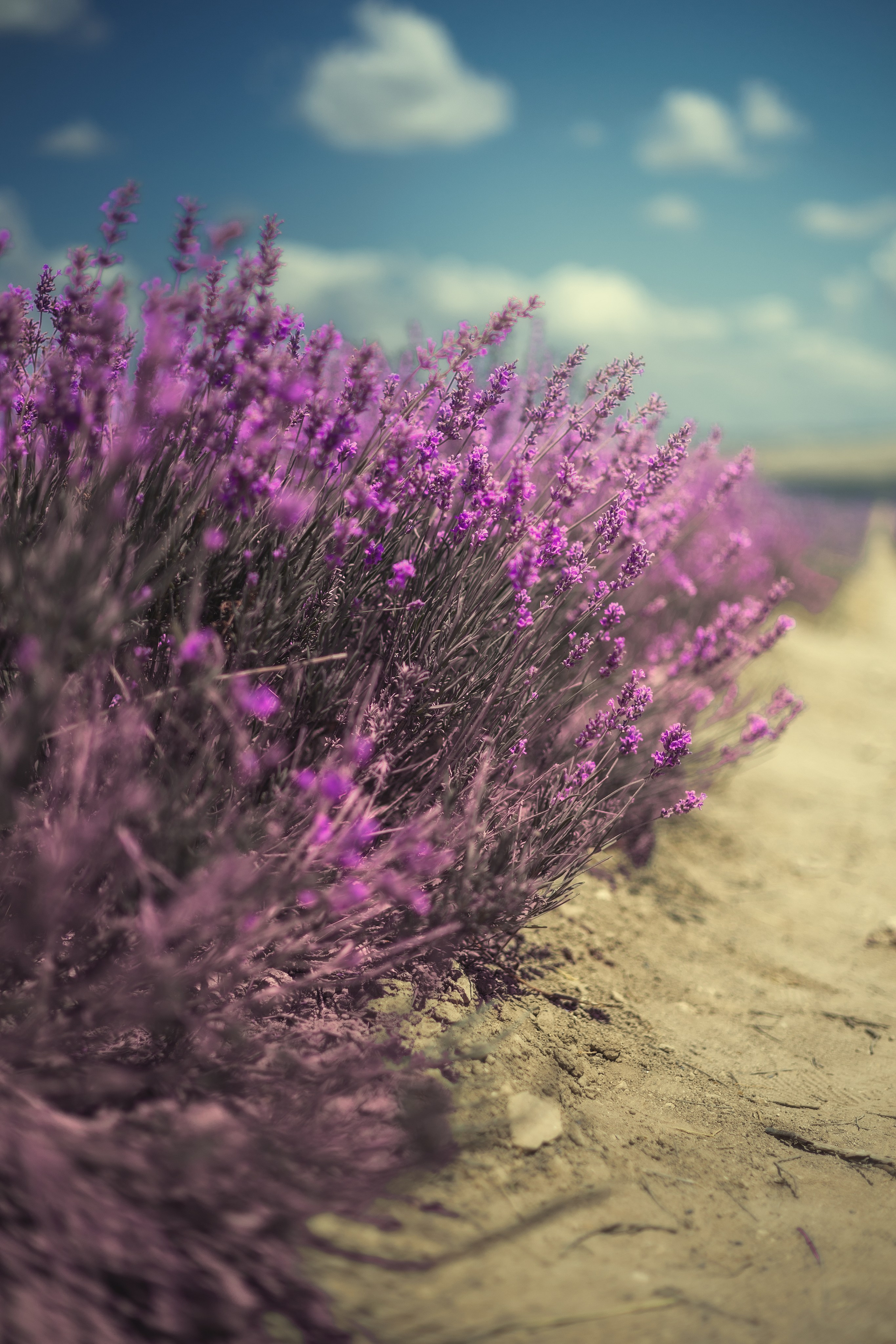 Крым. Николай Брытков — фотограф в Туле