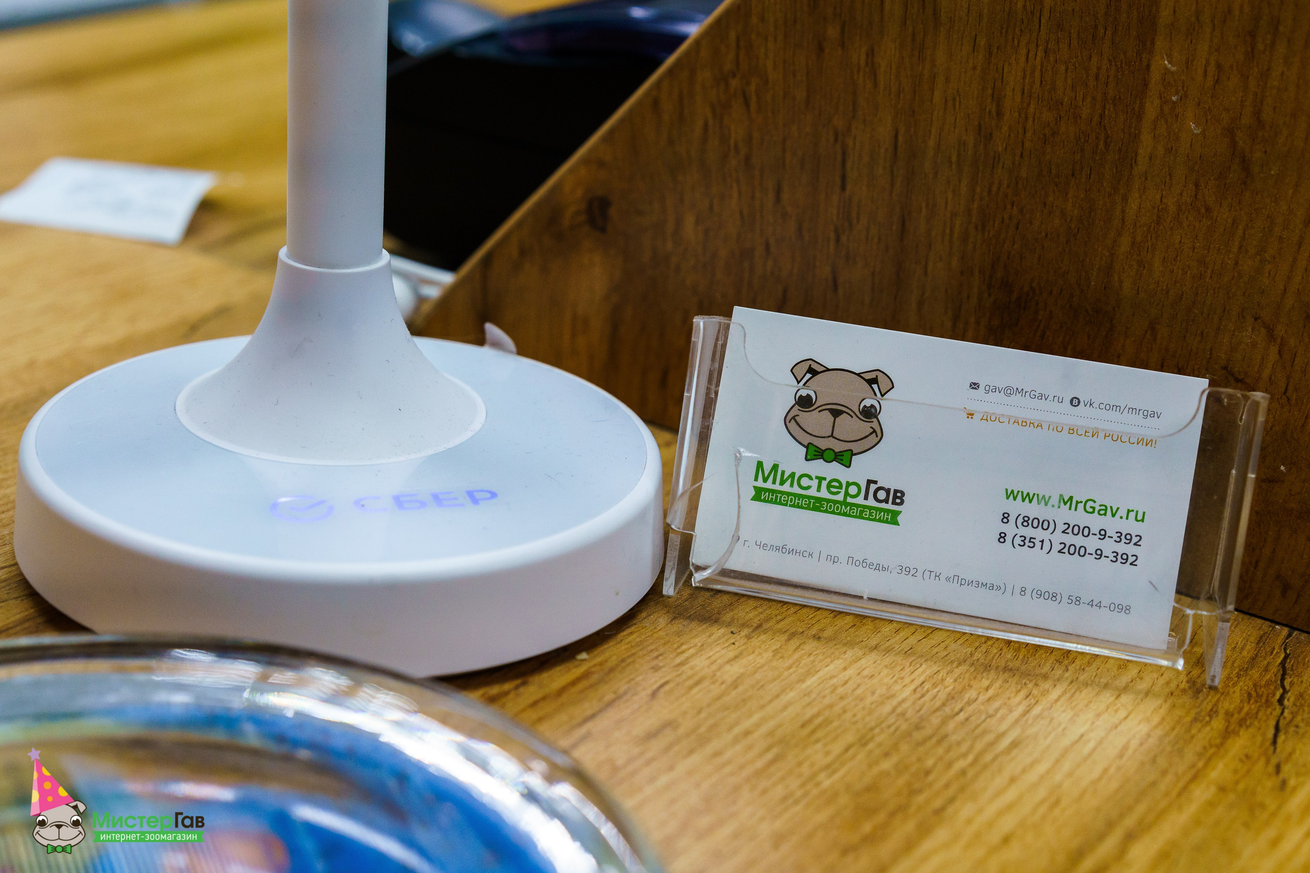 Мистер Гав -13 лет!. Фотограф Челябинск · Ольга Серебрякова