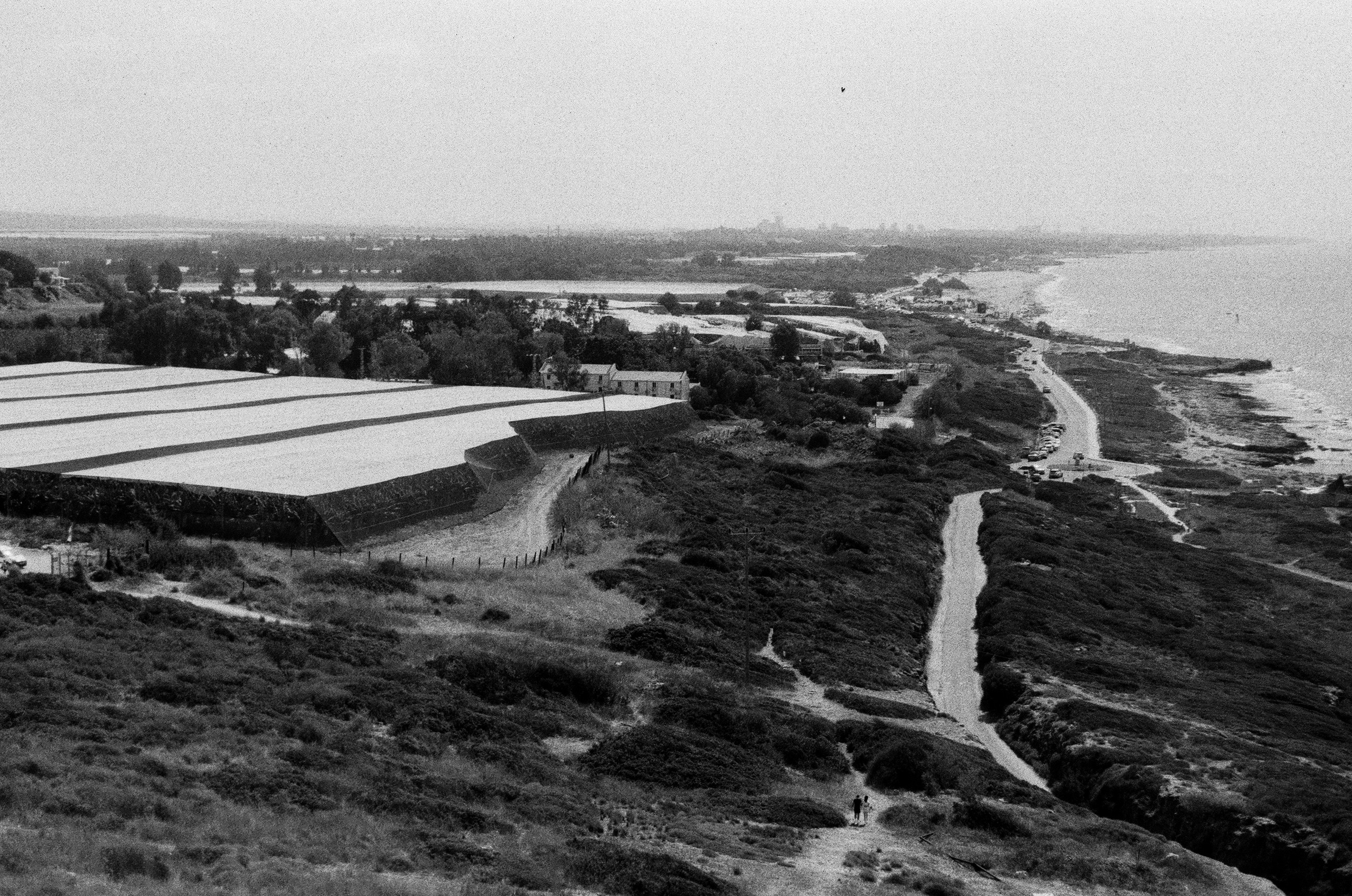 Israel 2025. Свадебный и портретный фотограф в Санкт-Петербурге