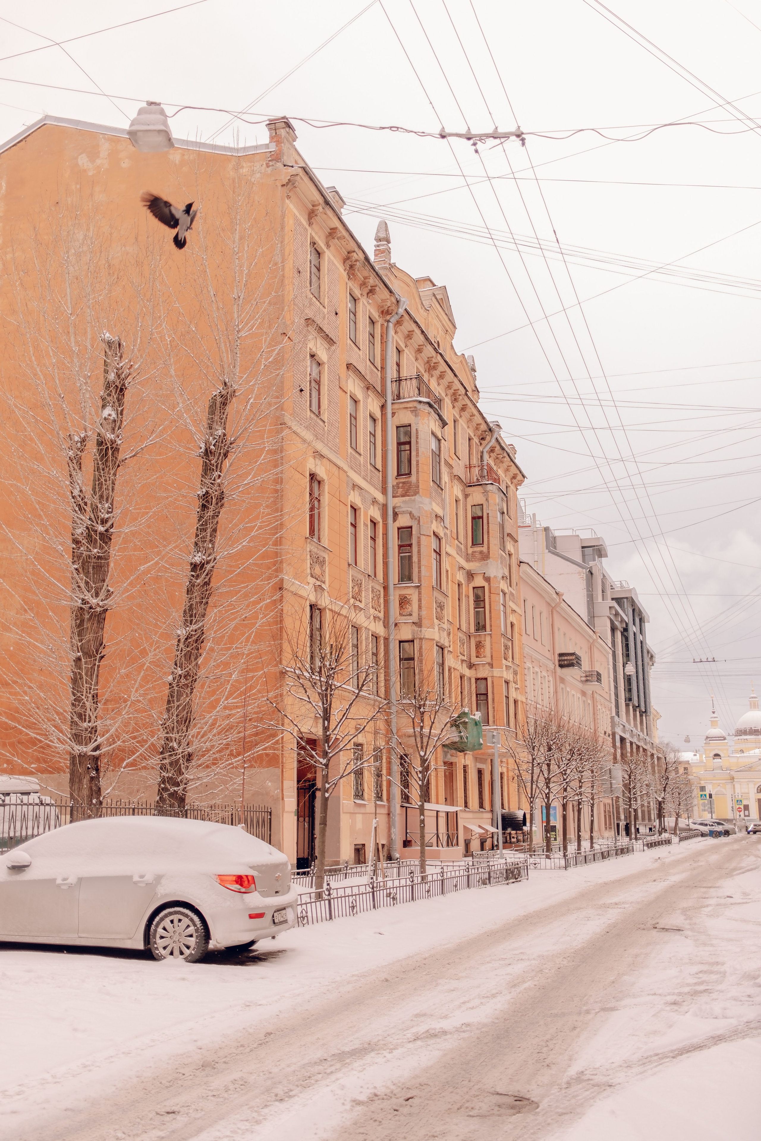 Санкт-Петербург. Аня Степанова