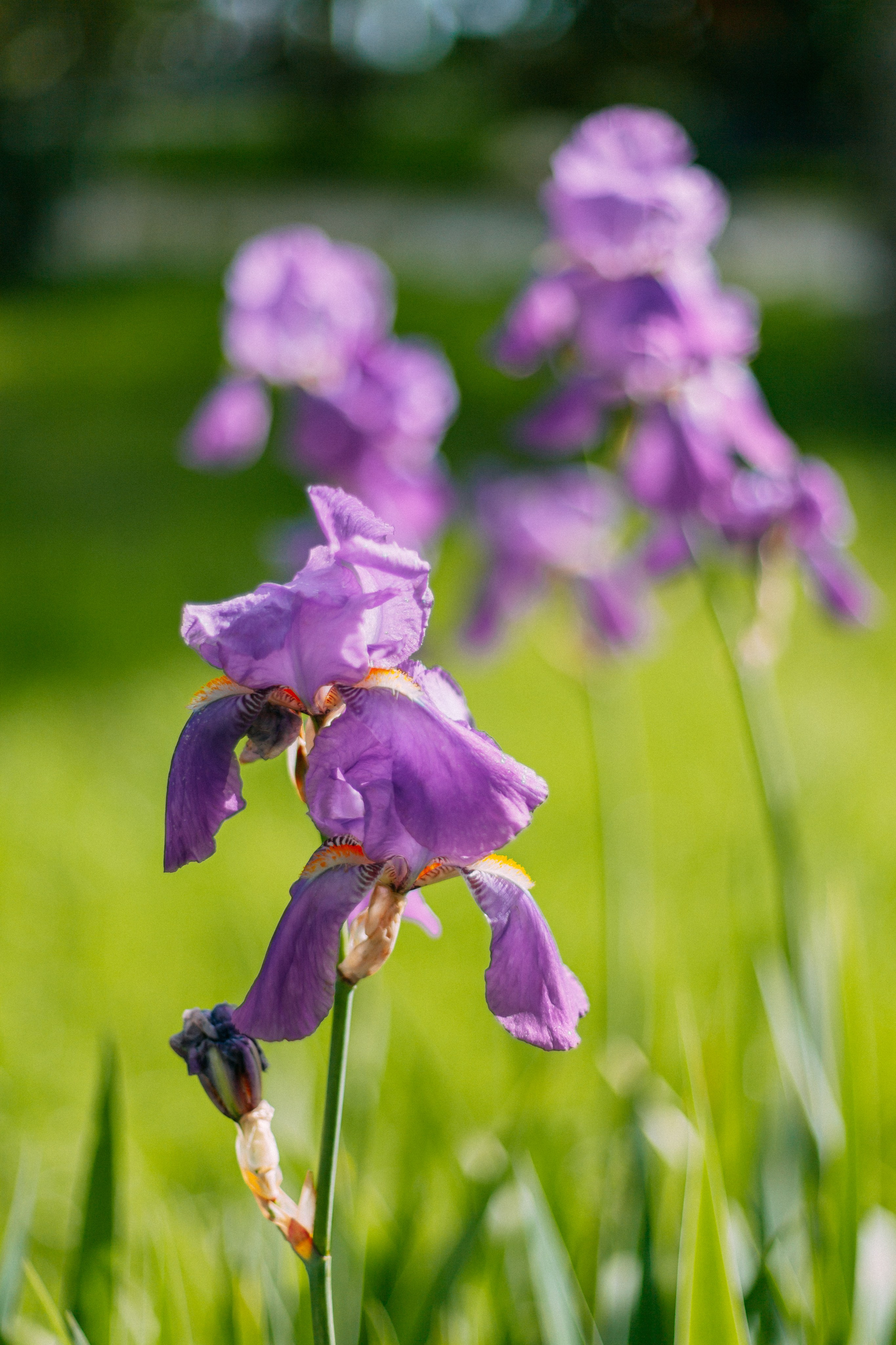 Сочи. Аня Степанова