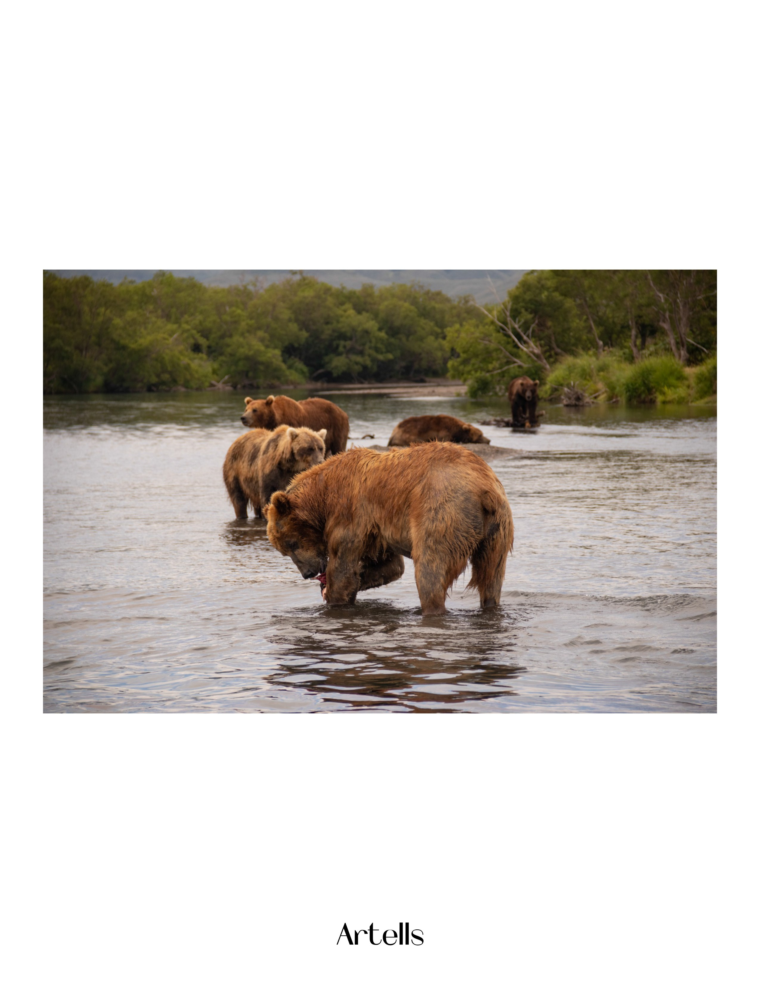 Журнал Artells. Kamchatka peninsula. Наталия Фролова. Фотограф. Москва