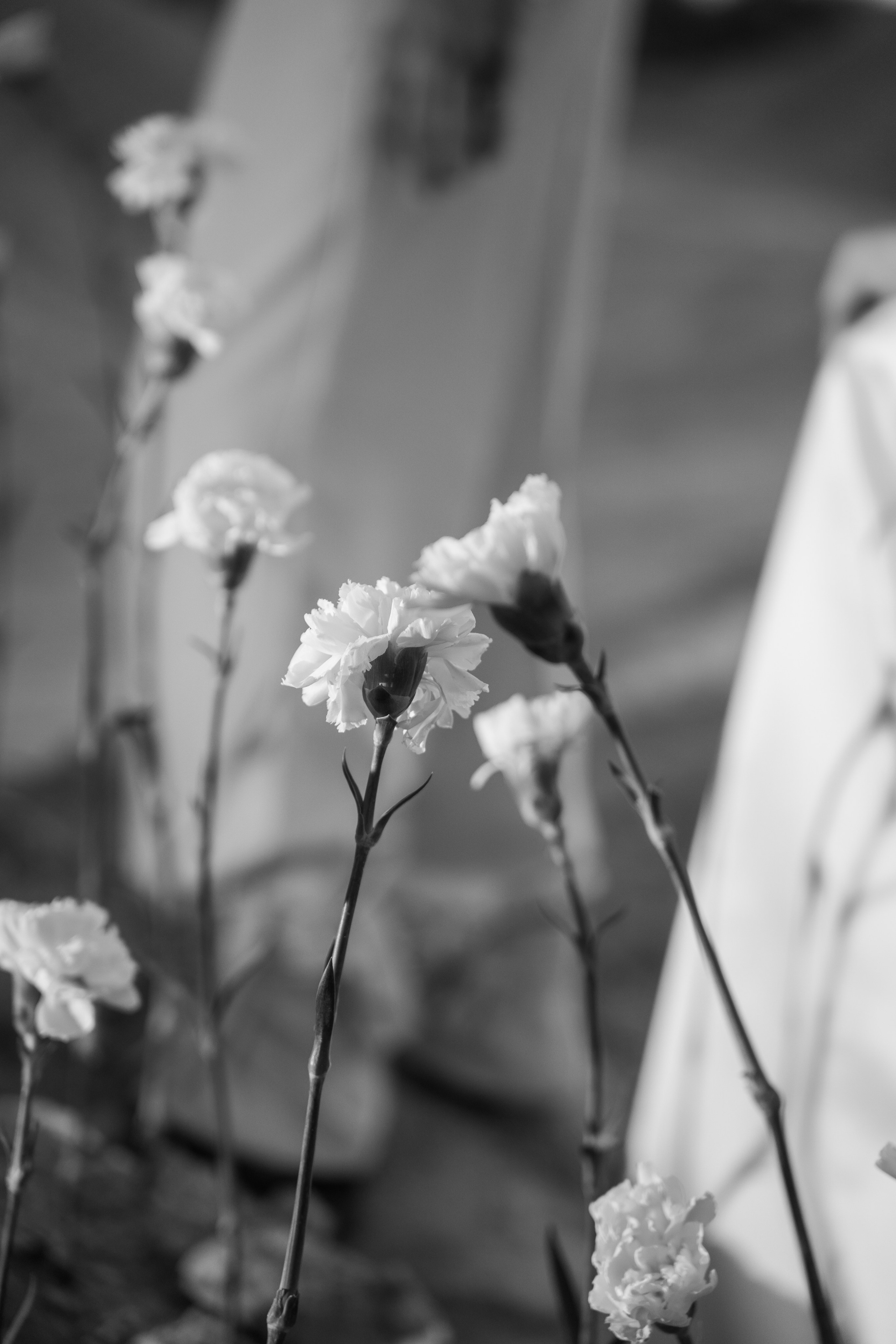 Карьер. Свадебный фотограф Тольятти Москва Адамова Виктория