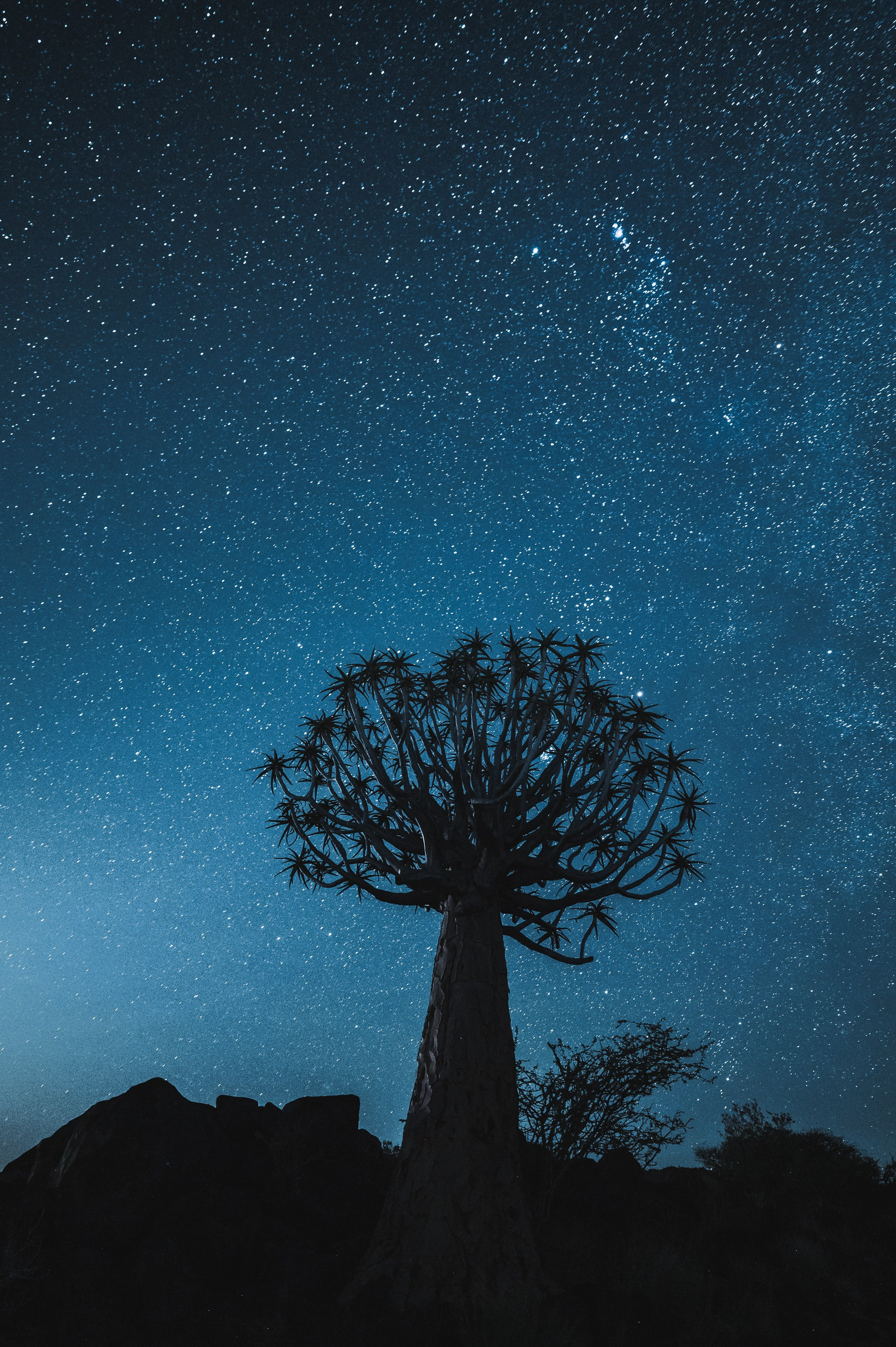 НАМИБИЯ. Роадтрип