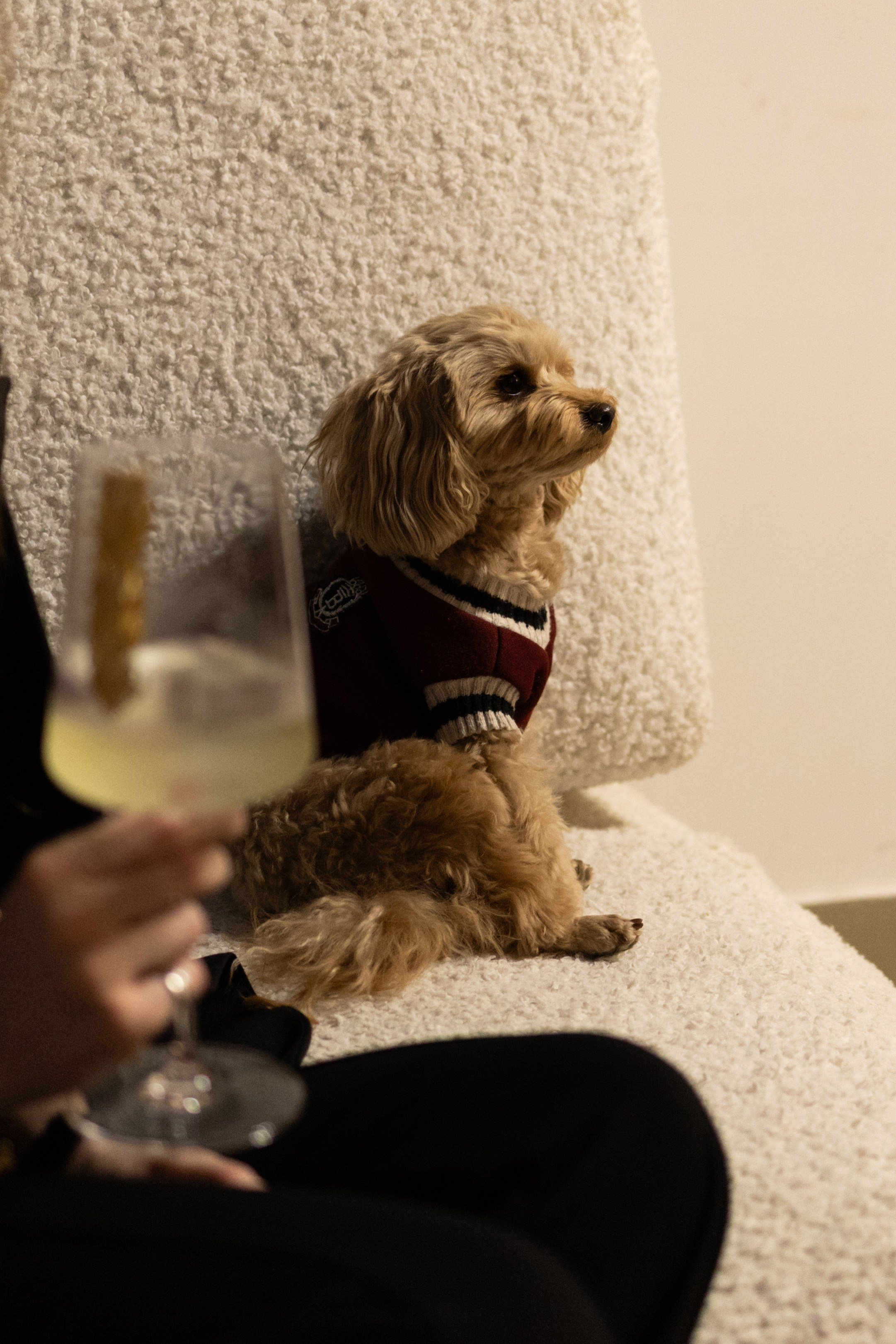 День рождения//Ирина. Главная