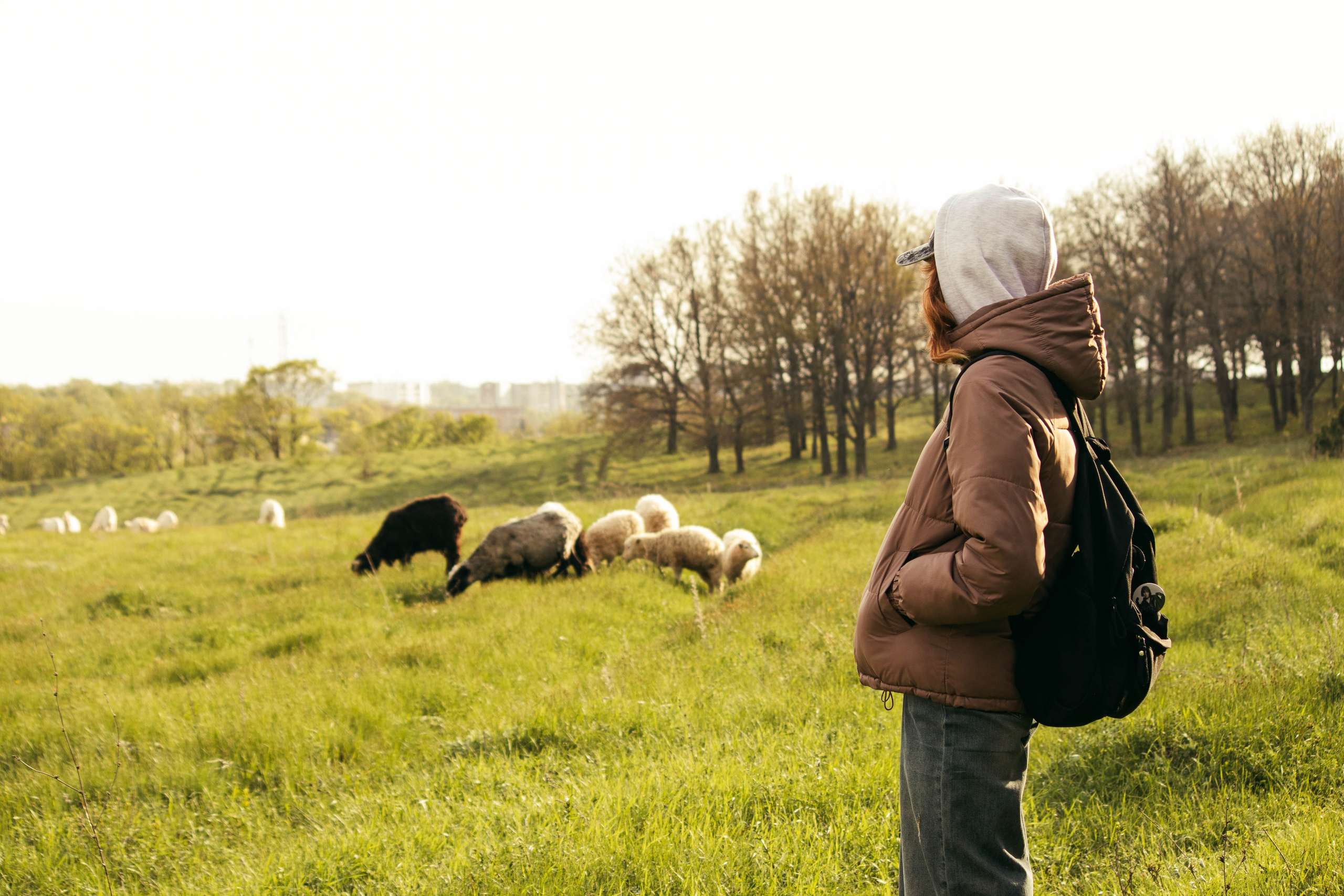 Сокольская гора. Фотограф и видеограф в Бугульме Аня Трутнева