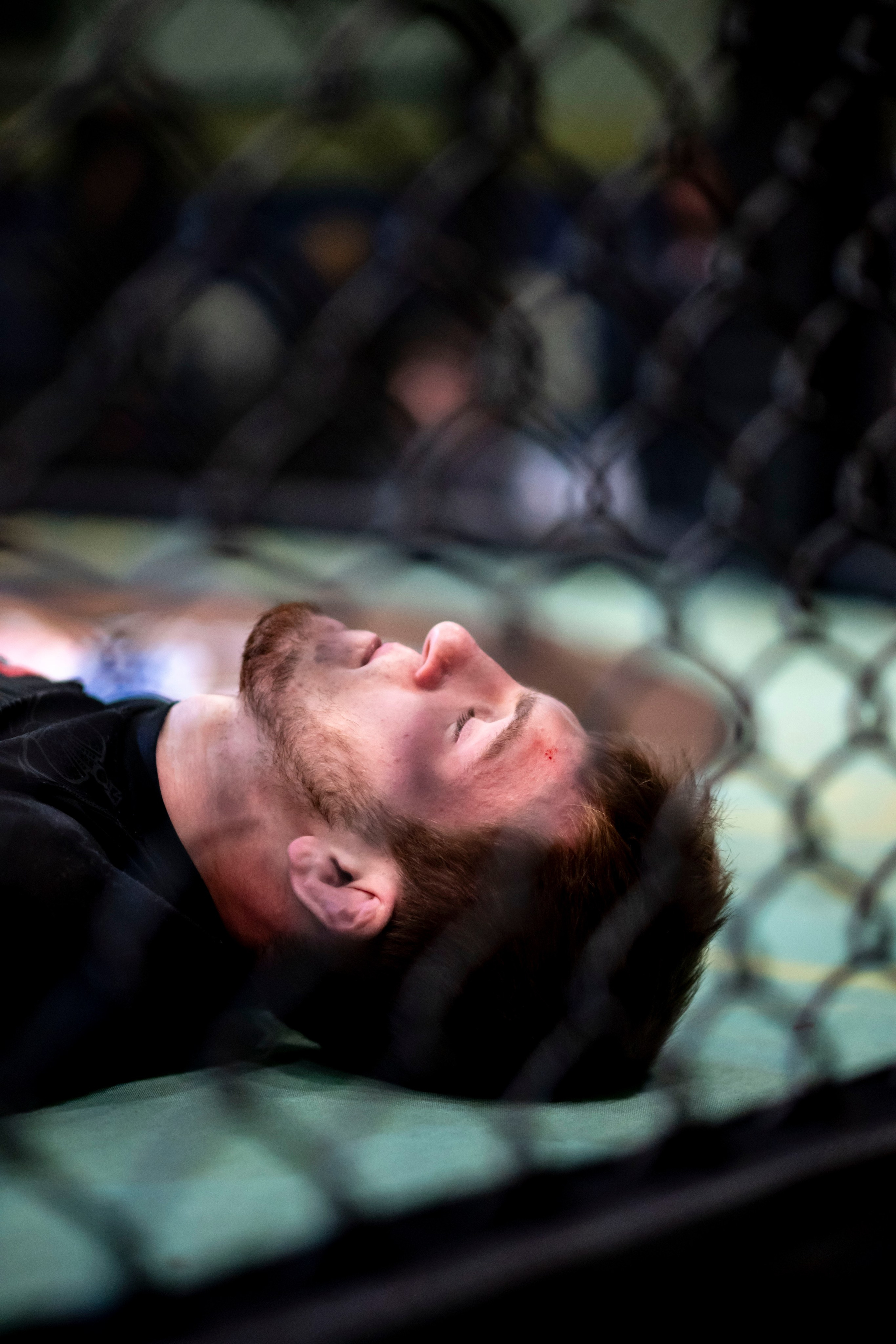 Всероссийский турнир ММА. Новомосковск, ноябрь 2025. Спортивный фотограф в Туле и Тульской области. Файсханова Фото Спорт