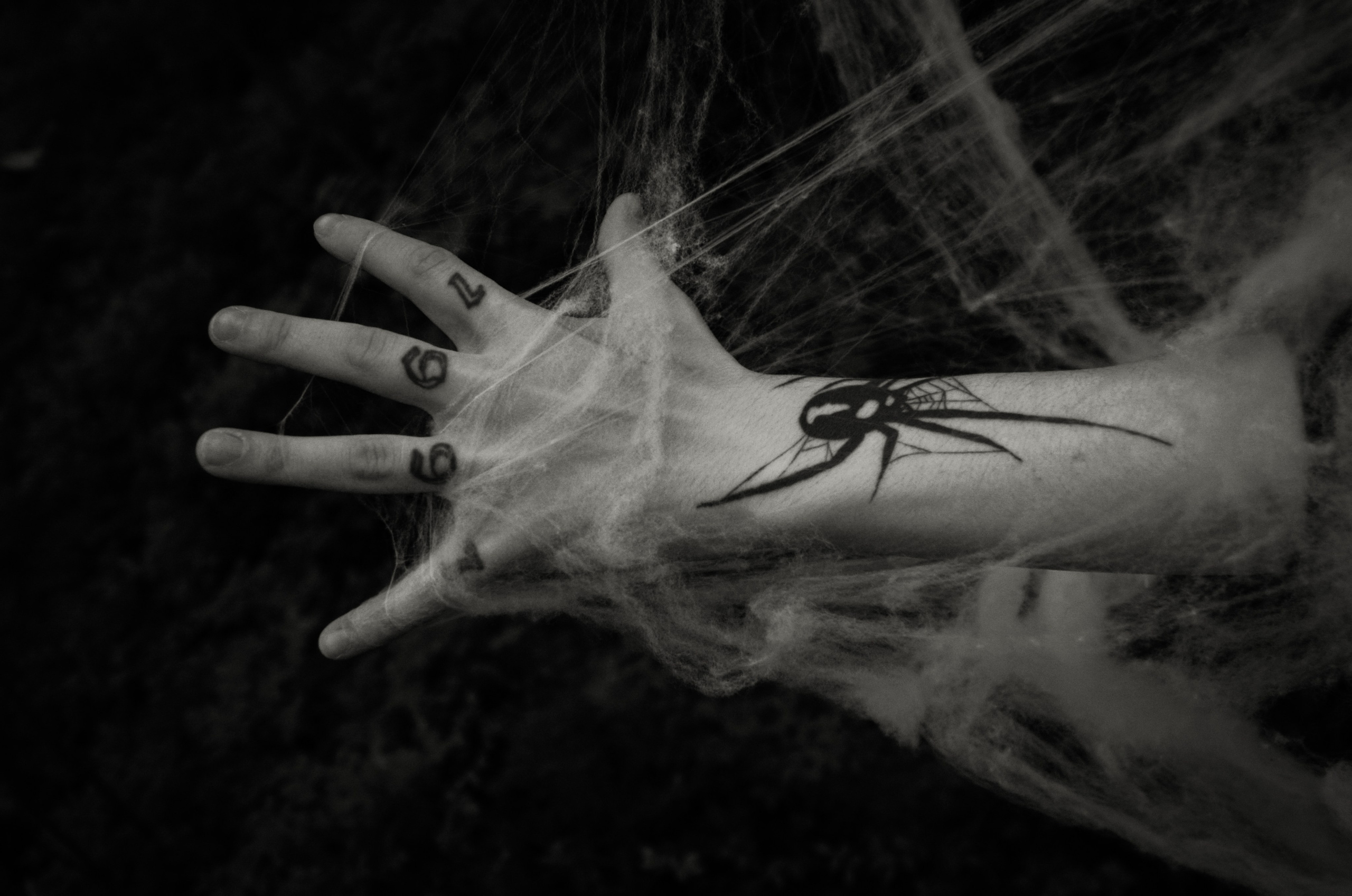 Мрак. Поглощение. Фотосессии по мотивам сказок и фильмов — Катерина Исауленко. СПб