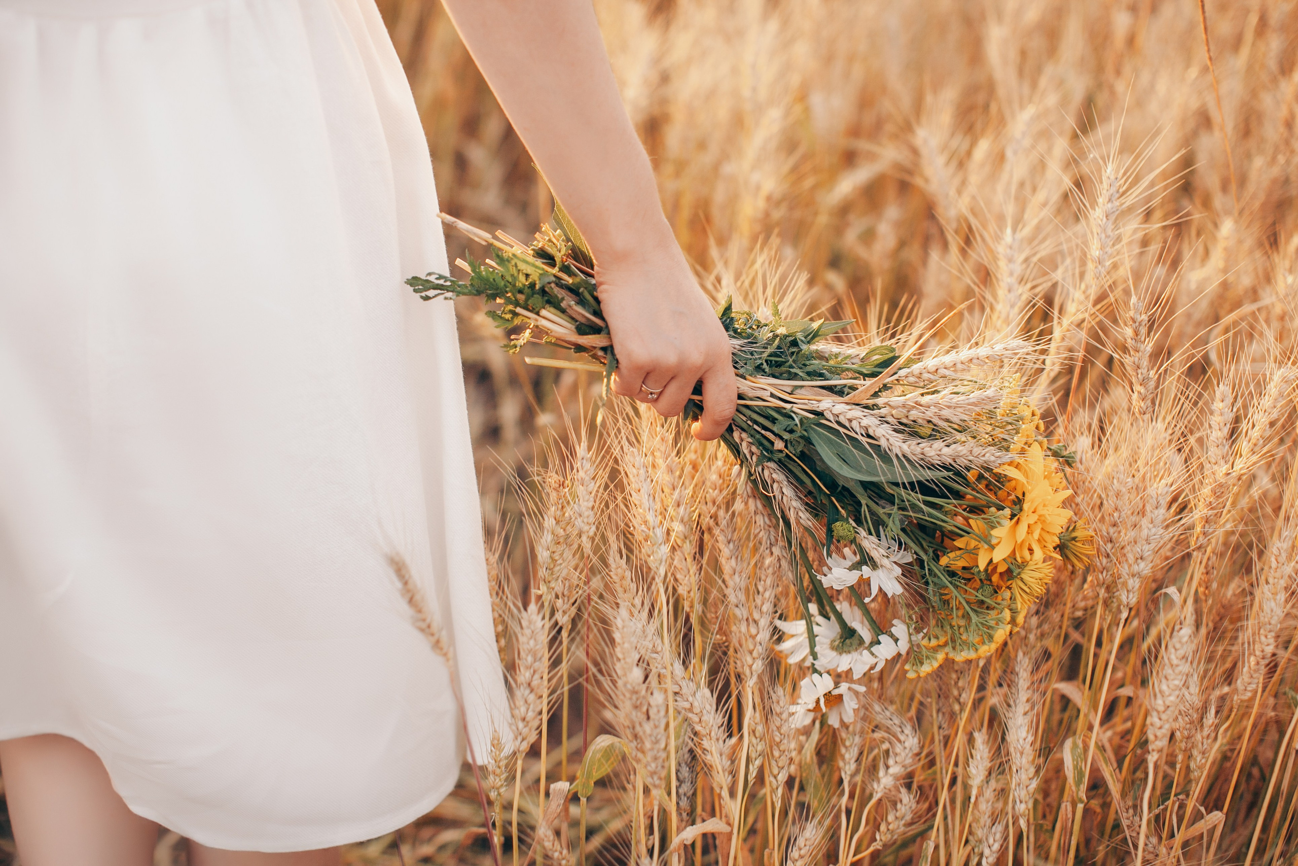 Семейная фотосессия в поле на закате. Фотограф Ольга Ефремова
